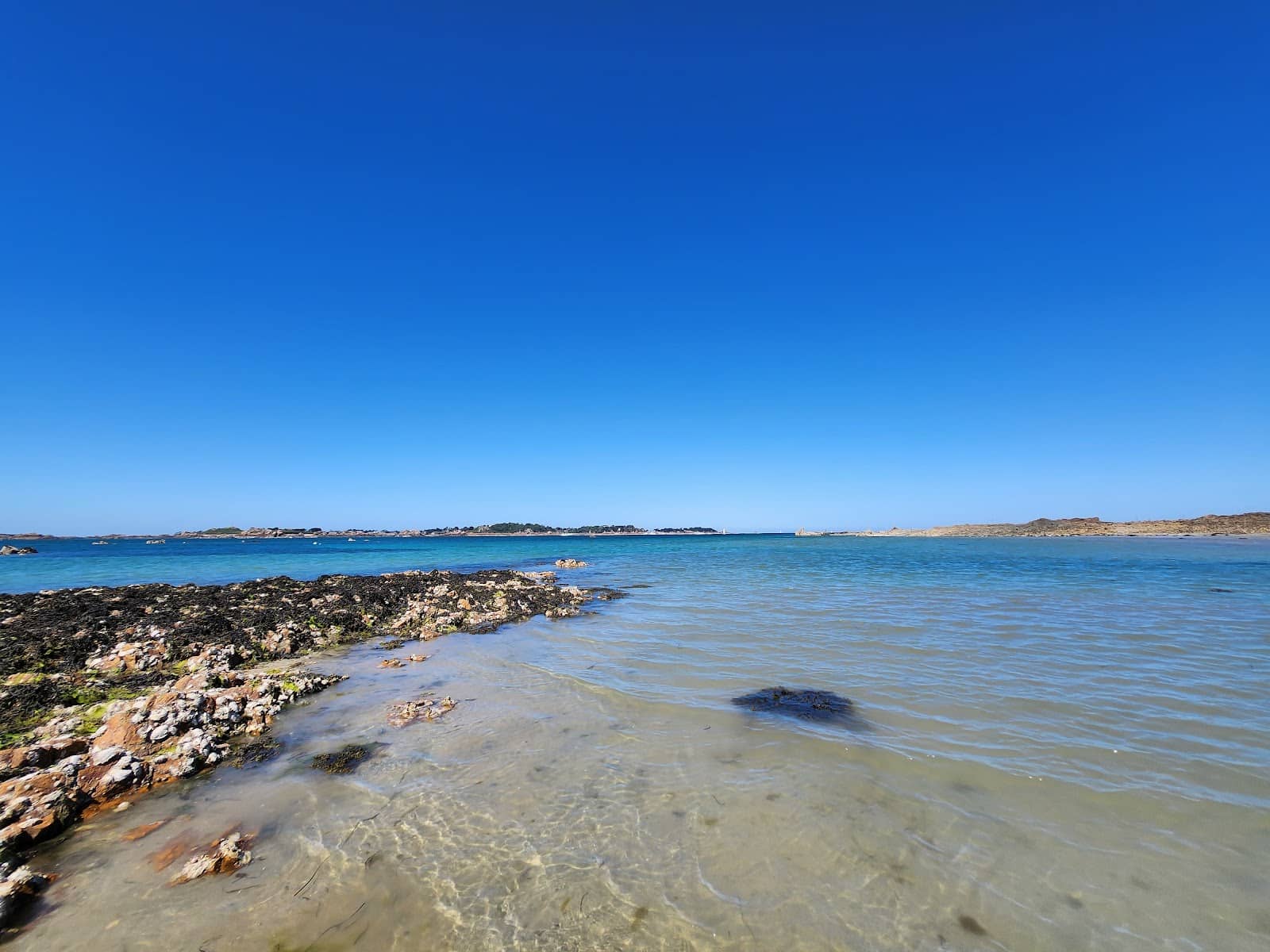 Tranquil Microclimate