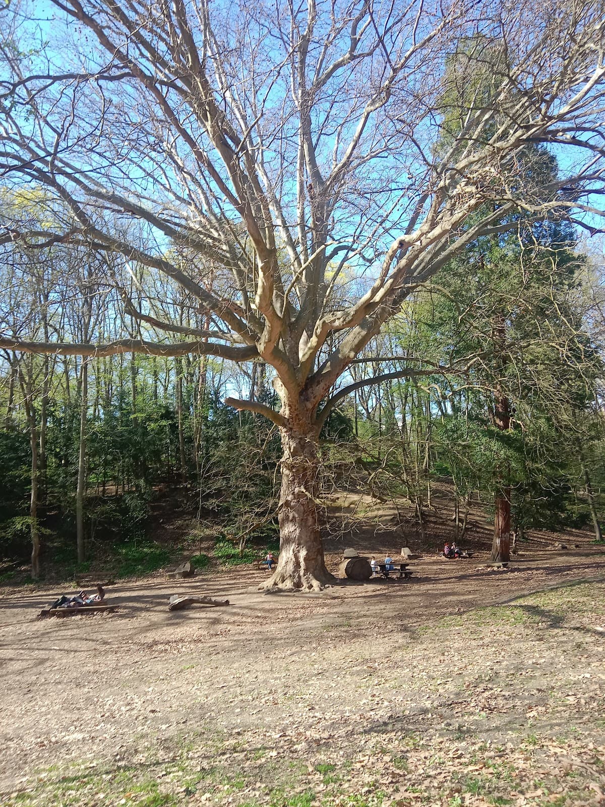 Dehnerpark - Image 1