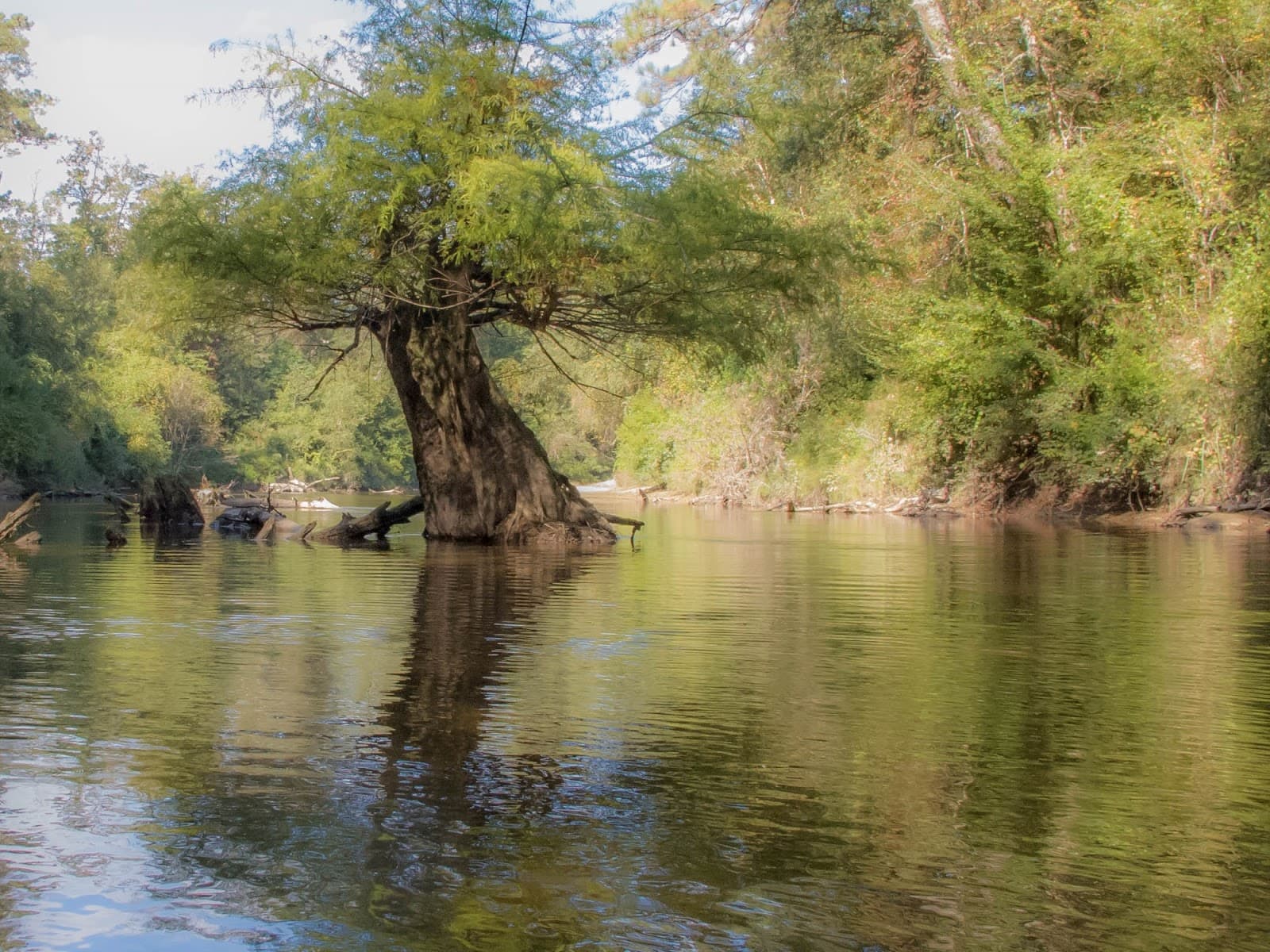 Black Creek (Scenic River) - Image 1