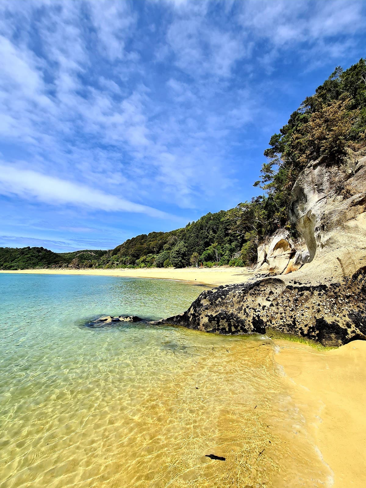 Anchorage Beach Abel Tasman National Park - Image 1