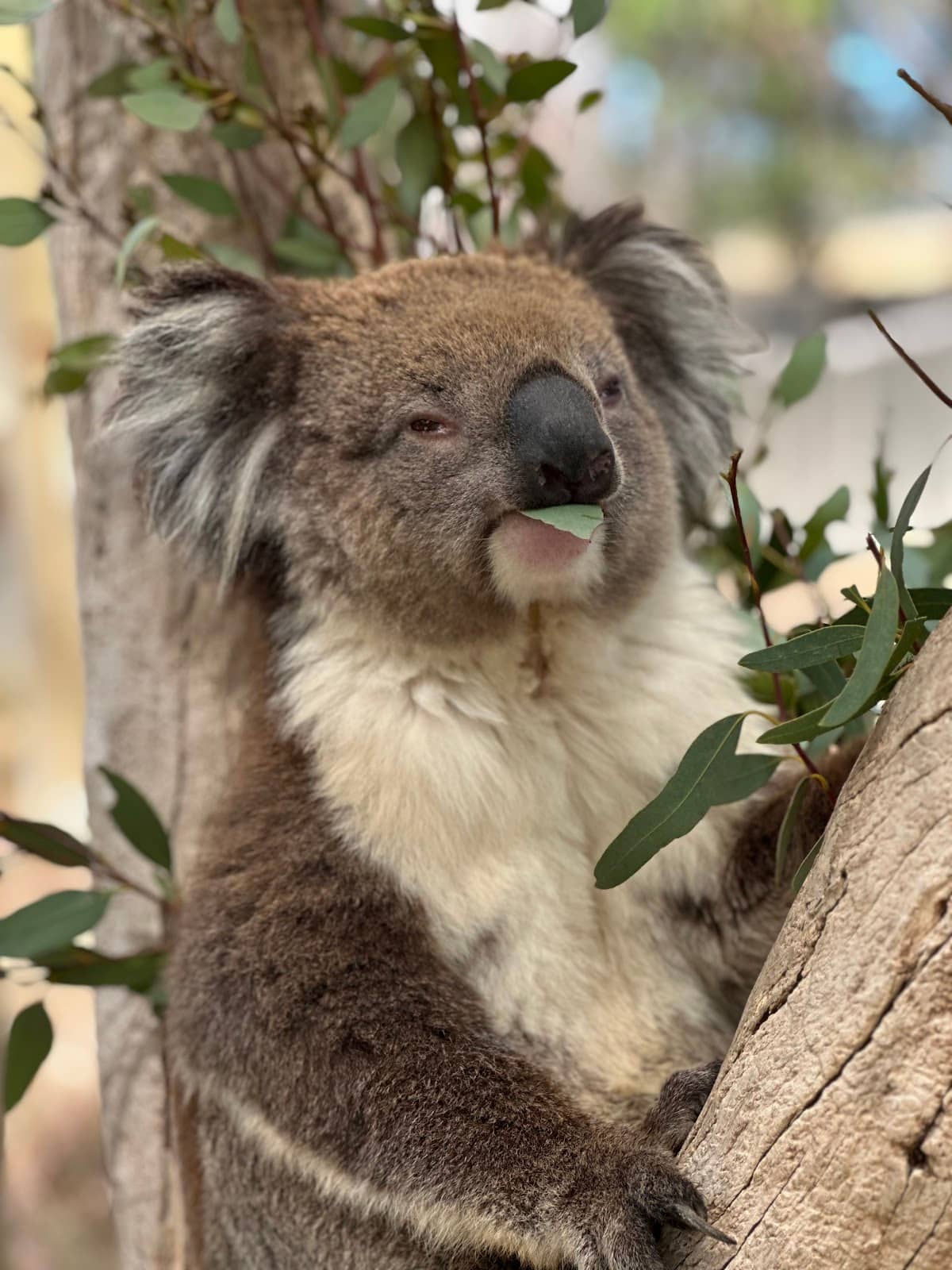 Immersive Natural Habitats