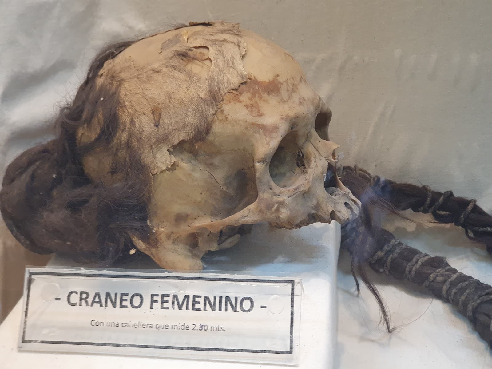 Museo Salesiano - Image 1