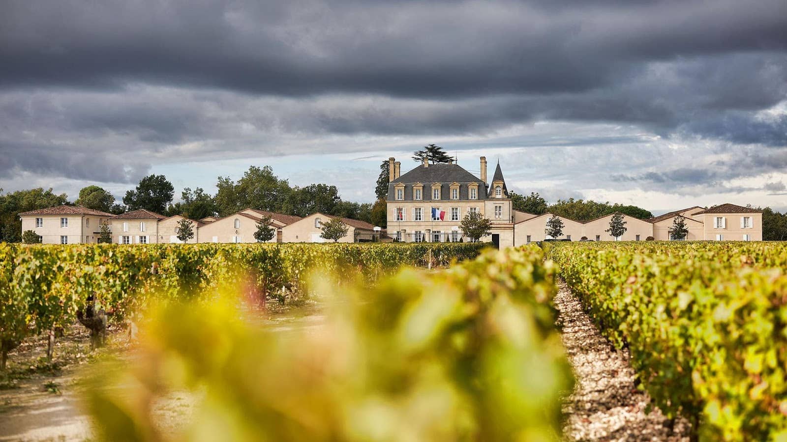 Wine Tasting Experience