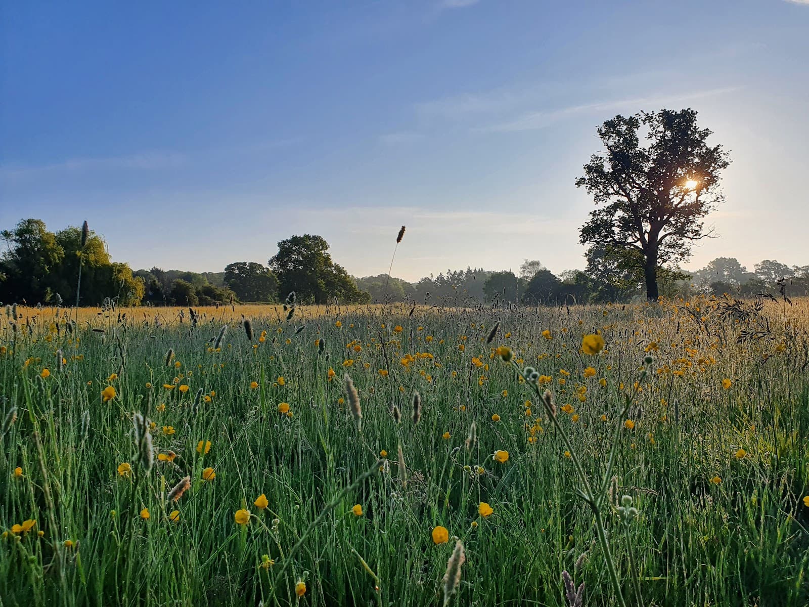 Pinn Meadows - Image 1