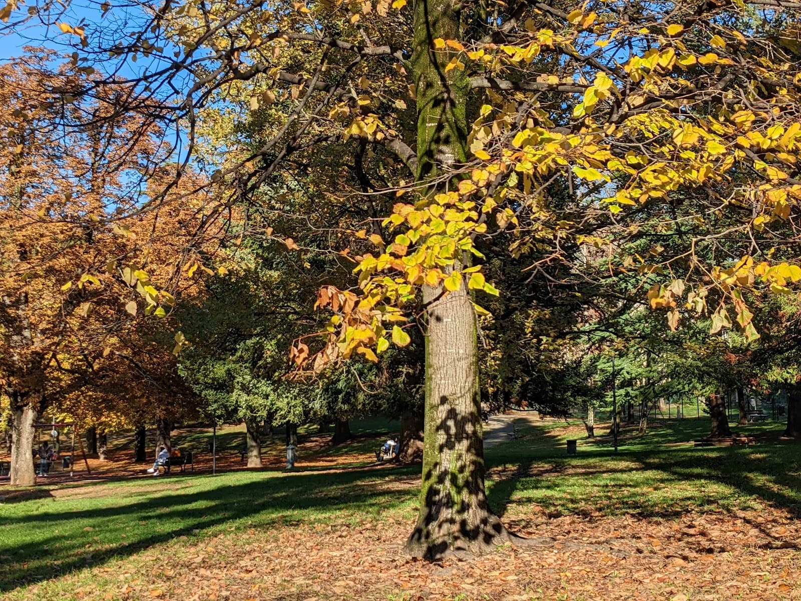 Giardini Perlasca - Image 1