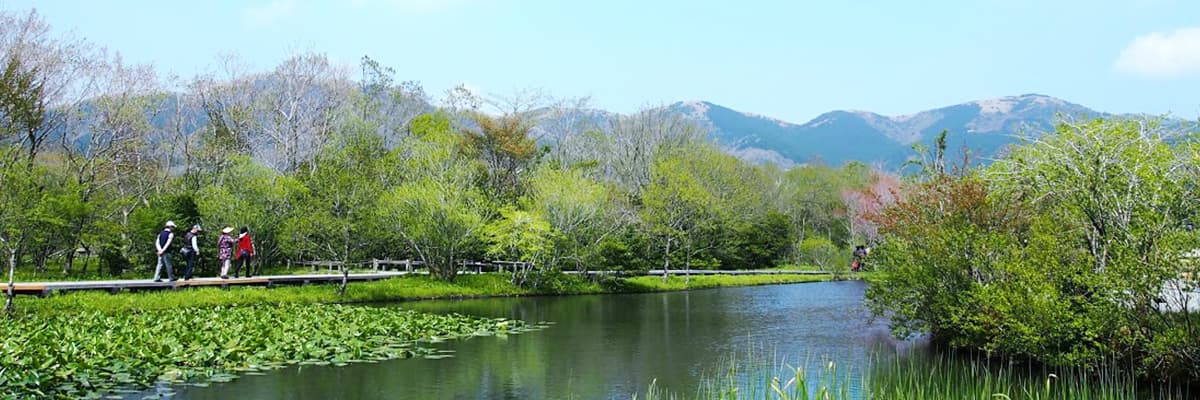 Hakone Botanical Garden of Wetlands - Image 1