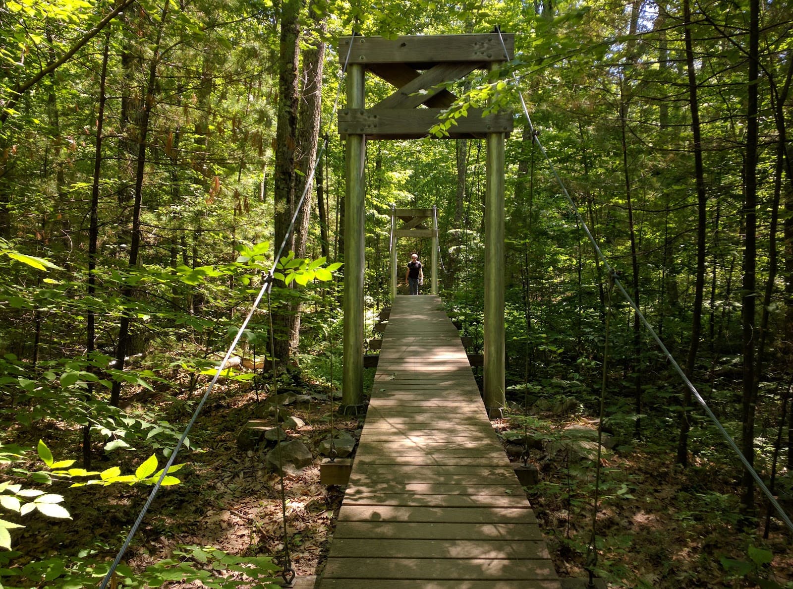 Pine Hill Park - Image 1
