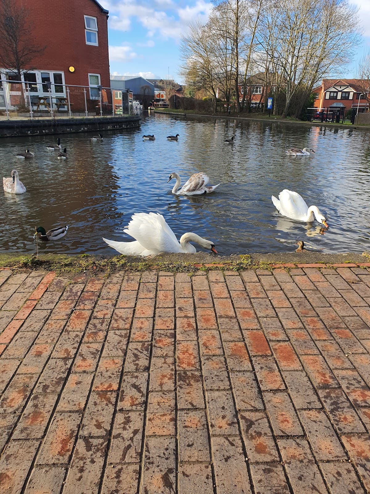 Fazeley Junction Canals - Image 1