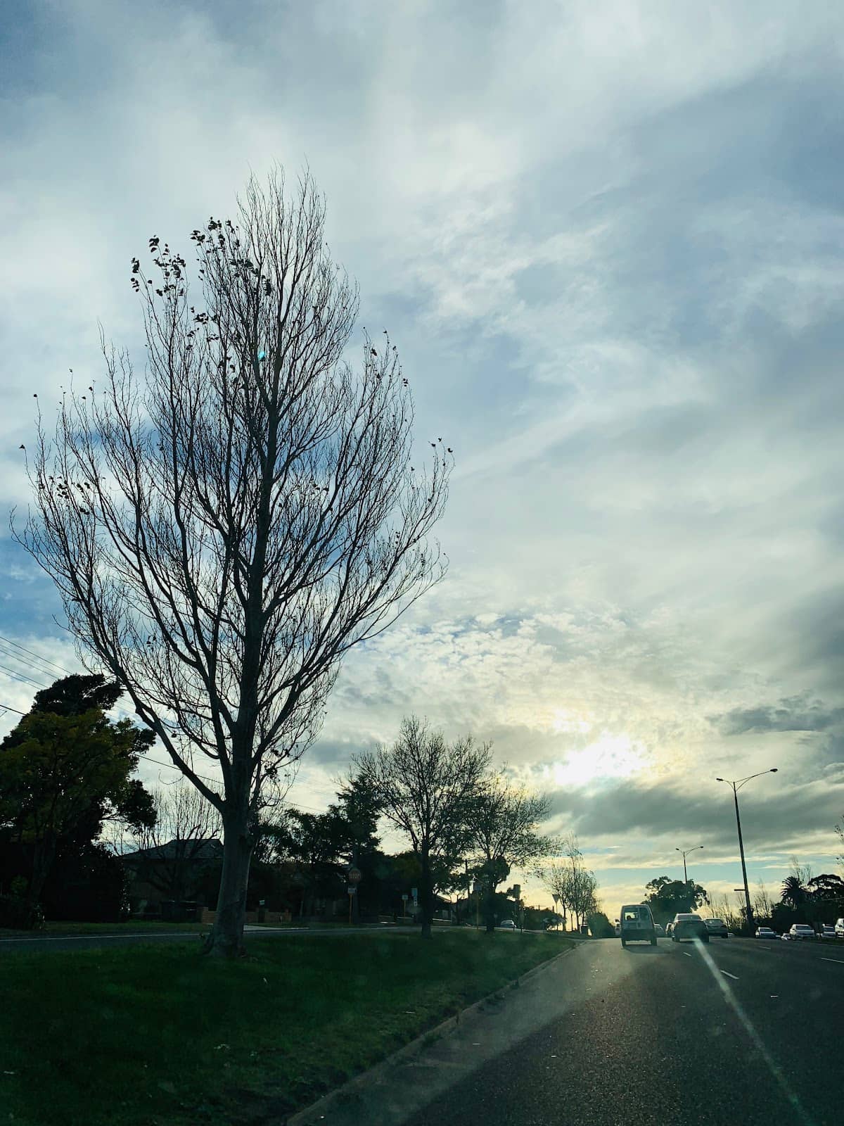 Greek Culinary Delights