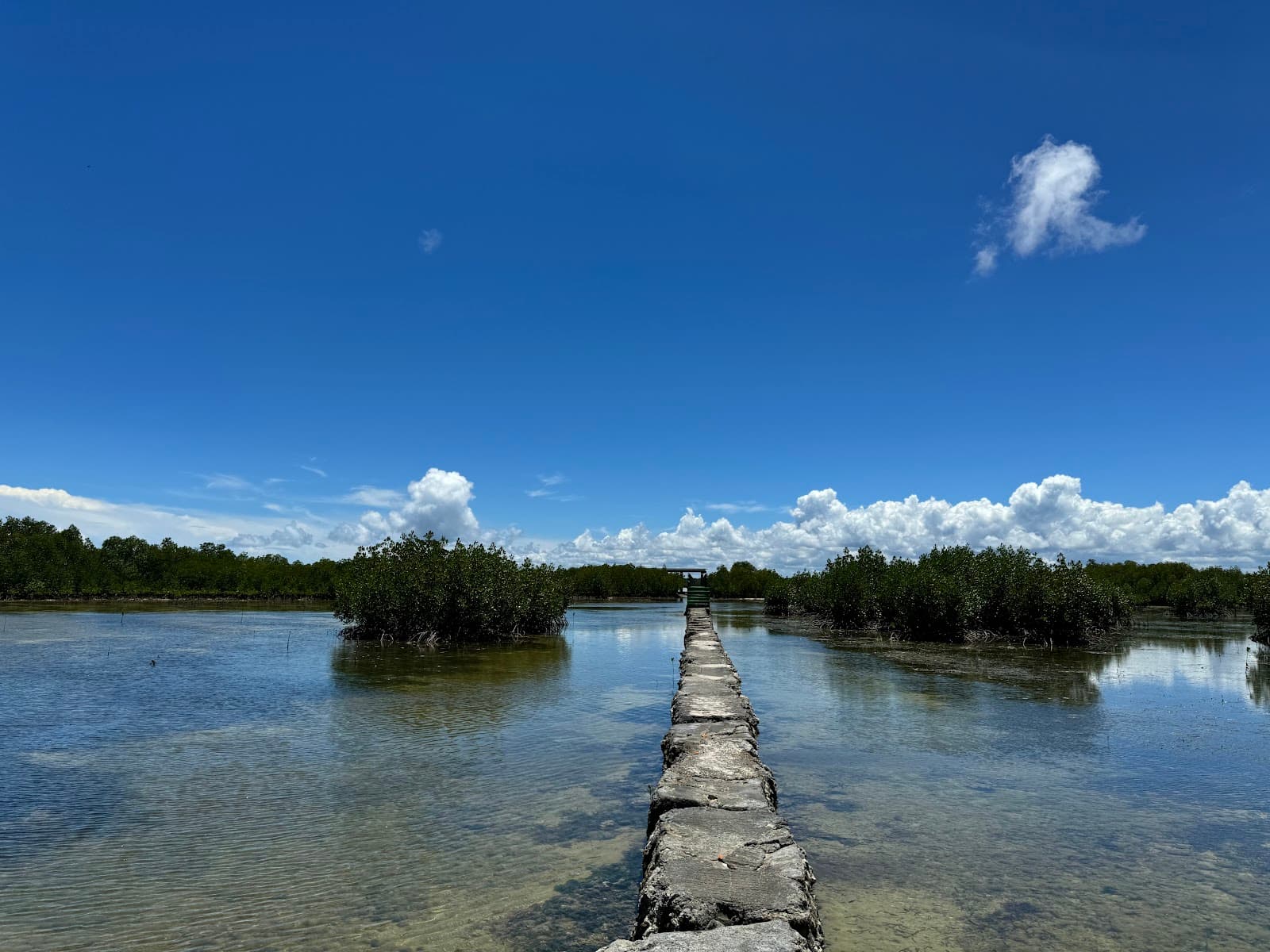 Olango Island - Image 1