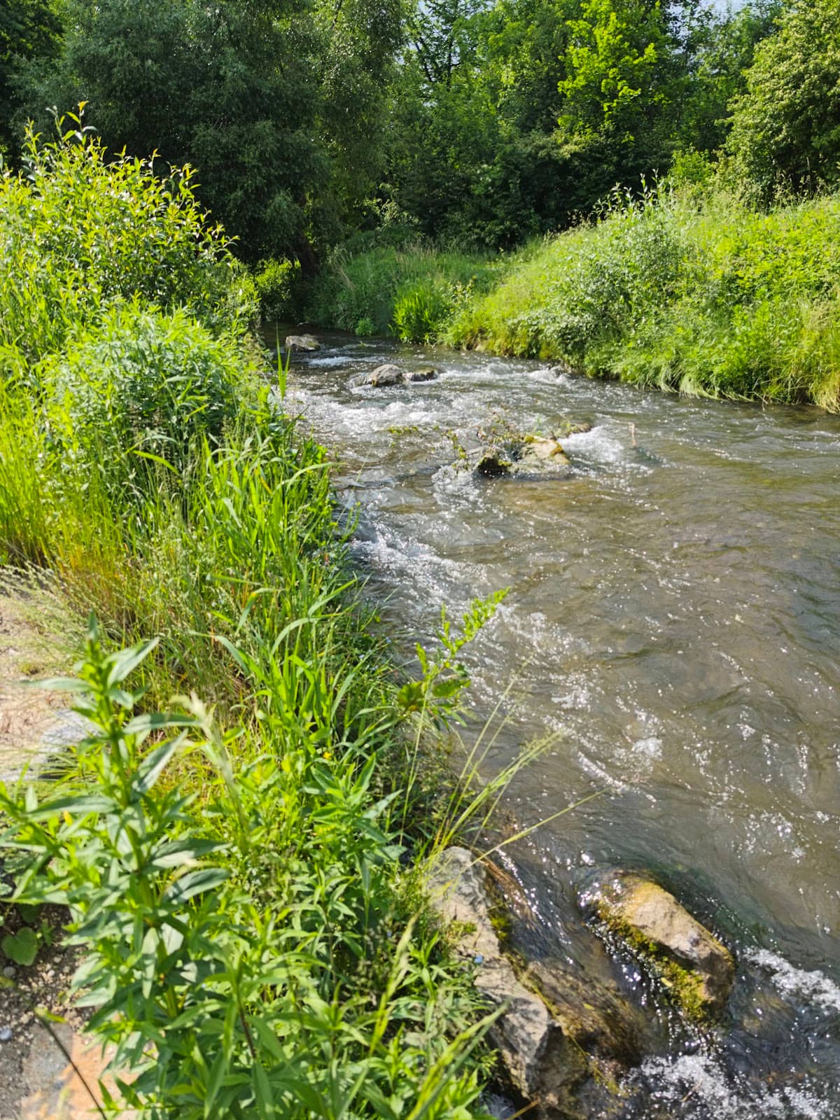 Danube Cycle Path Stop