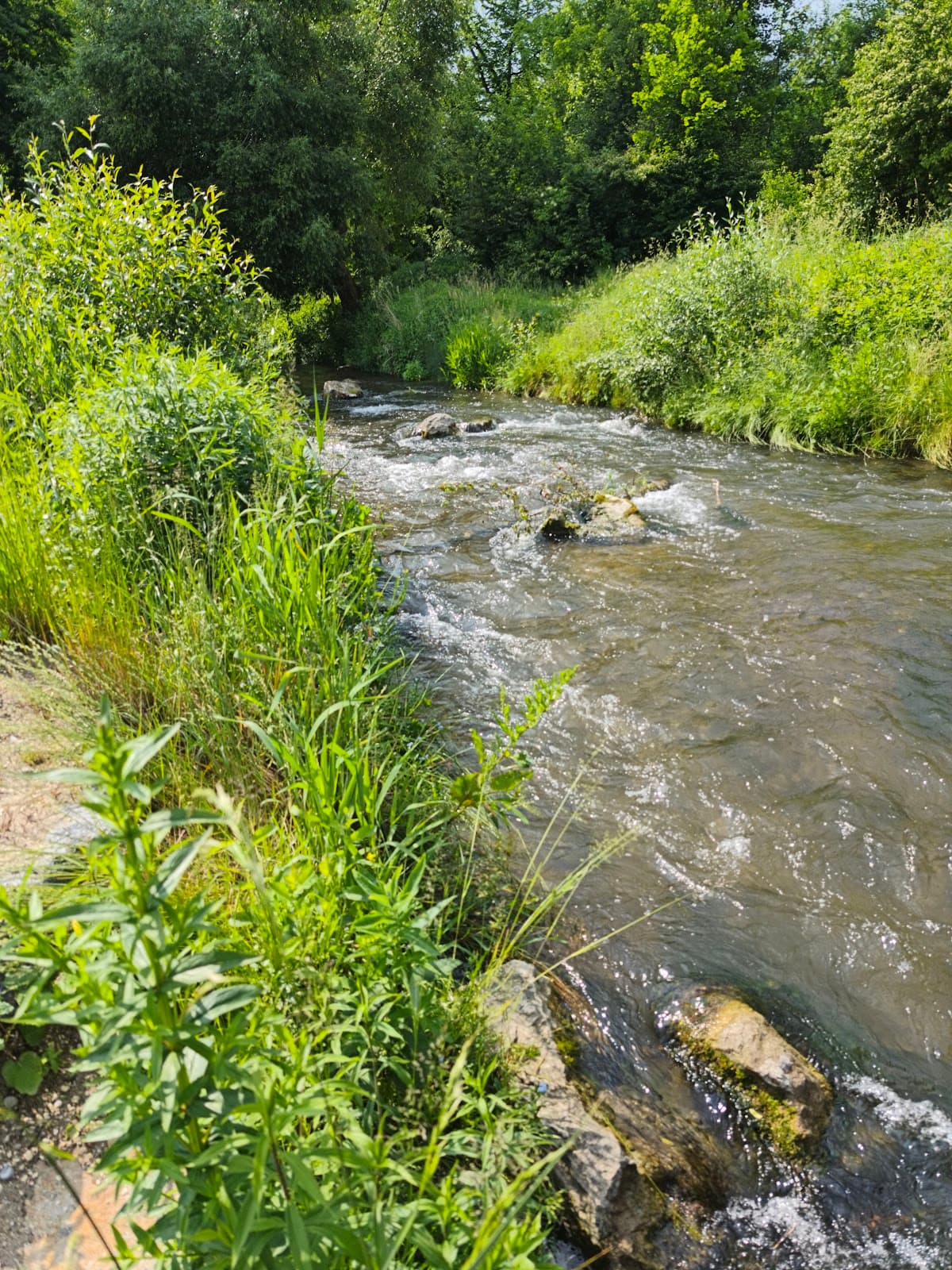 Danube Promenade Günzburg - Image 1