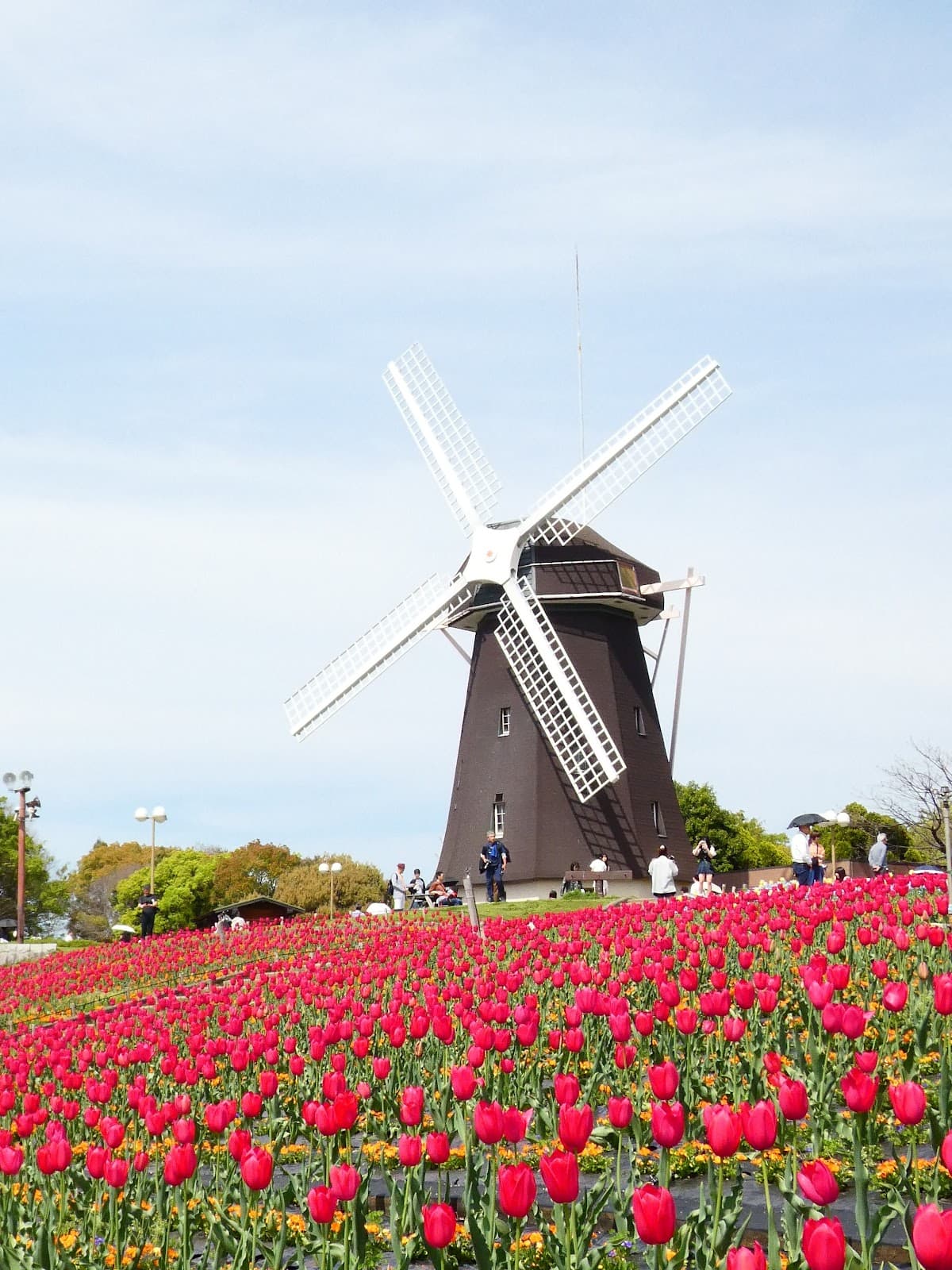 Osaka Flower Garden - Image 1