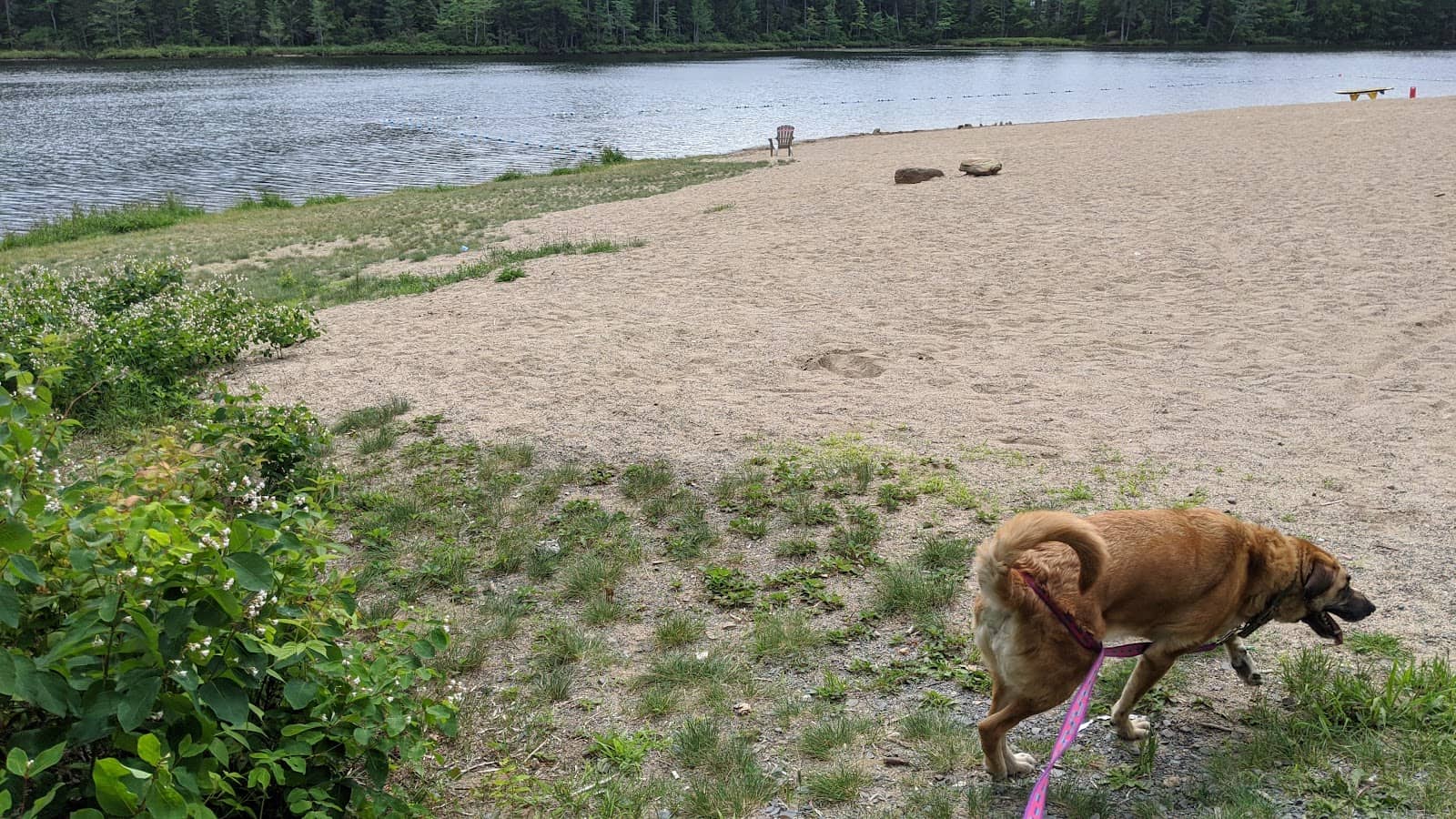 Winter Cross-Country Skiing