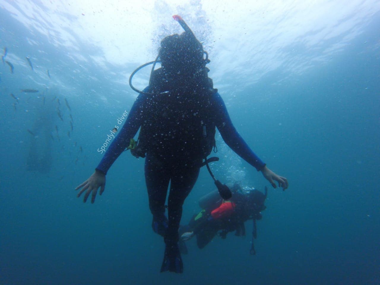 Ruta del Spondylus (coastal drive) - Image 1