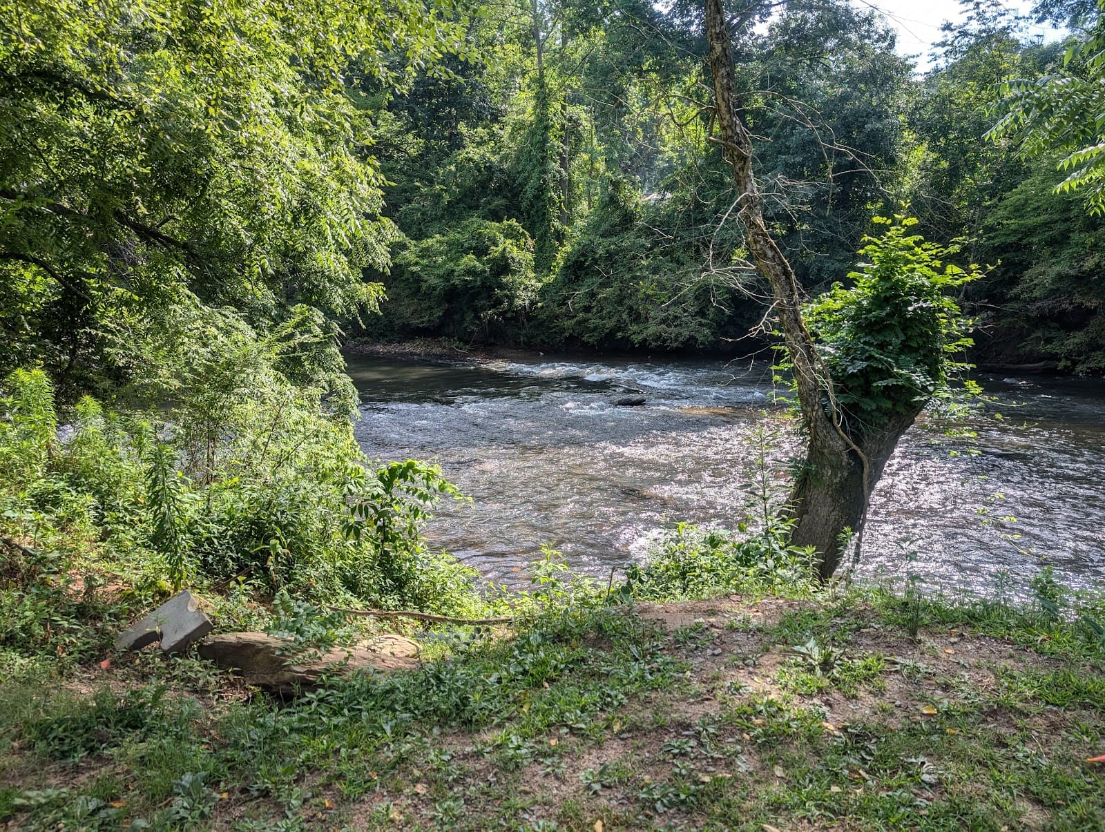 Ellijay River Park - Image 1