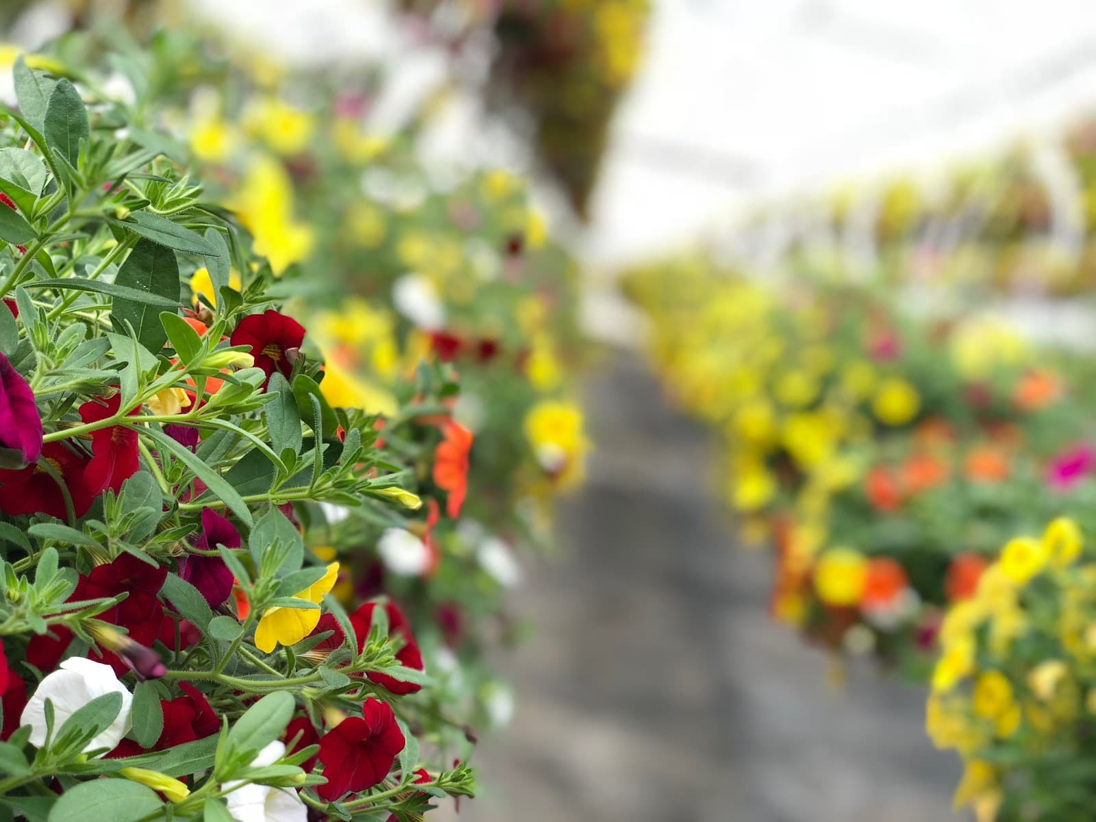 Bauman's Farm & Garden - Image 1