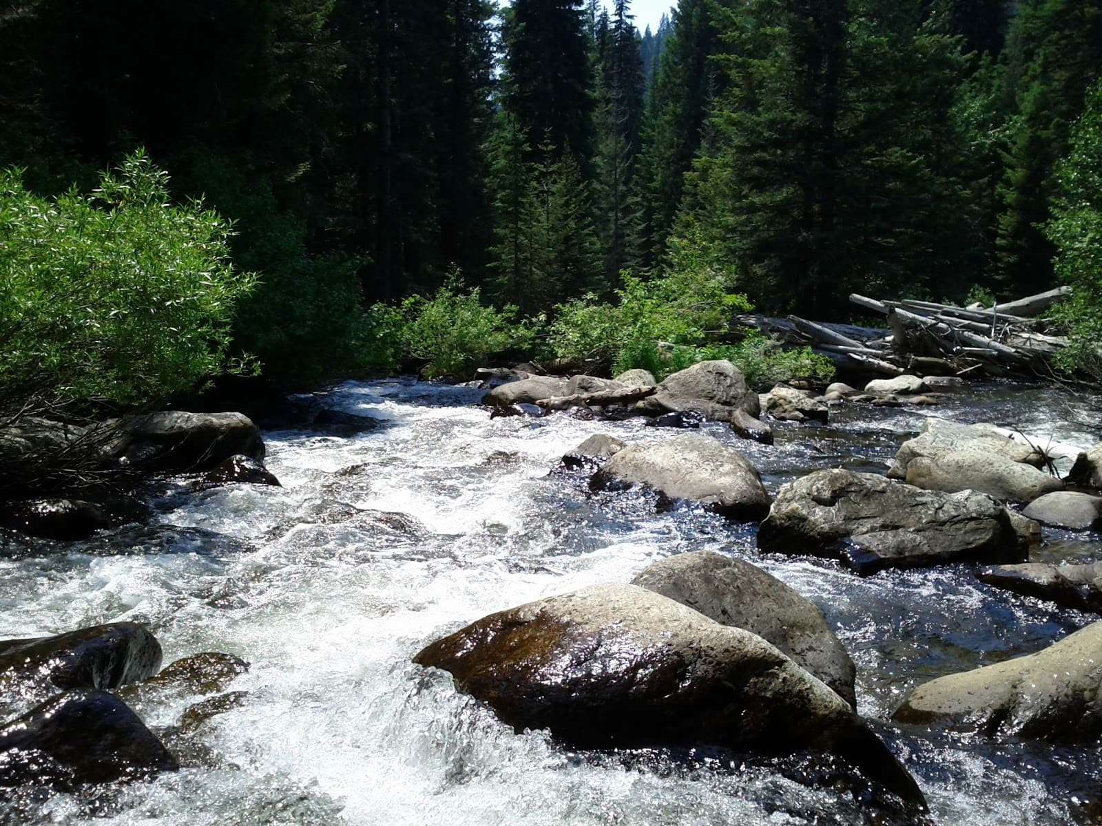 Goose Lake - Image 1