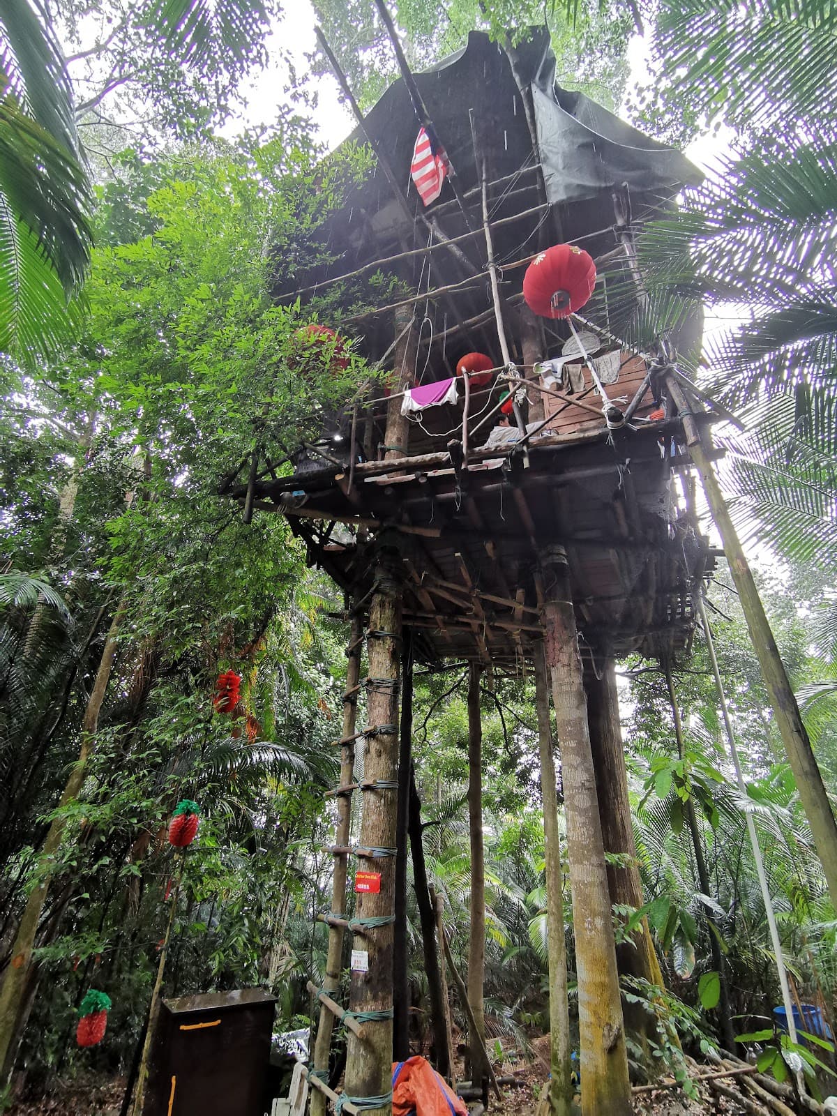 Bukit Apek Trail - Image 1