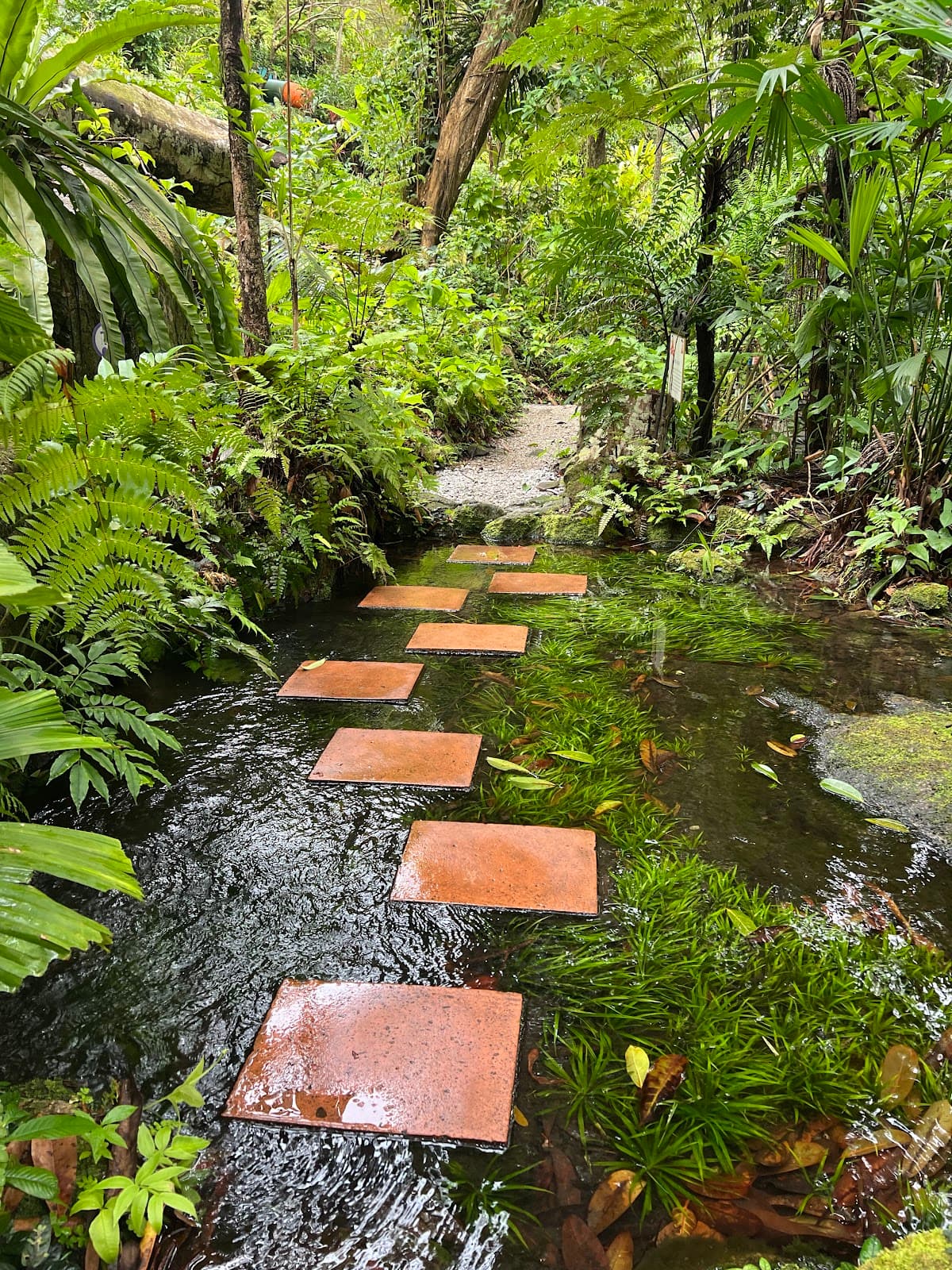 Tropical Spice Garden Penang - Image 1