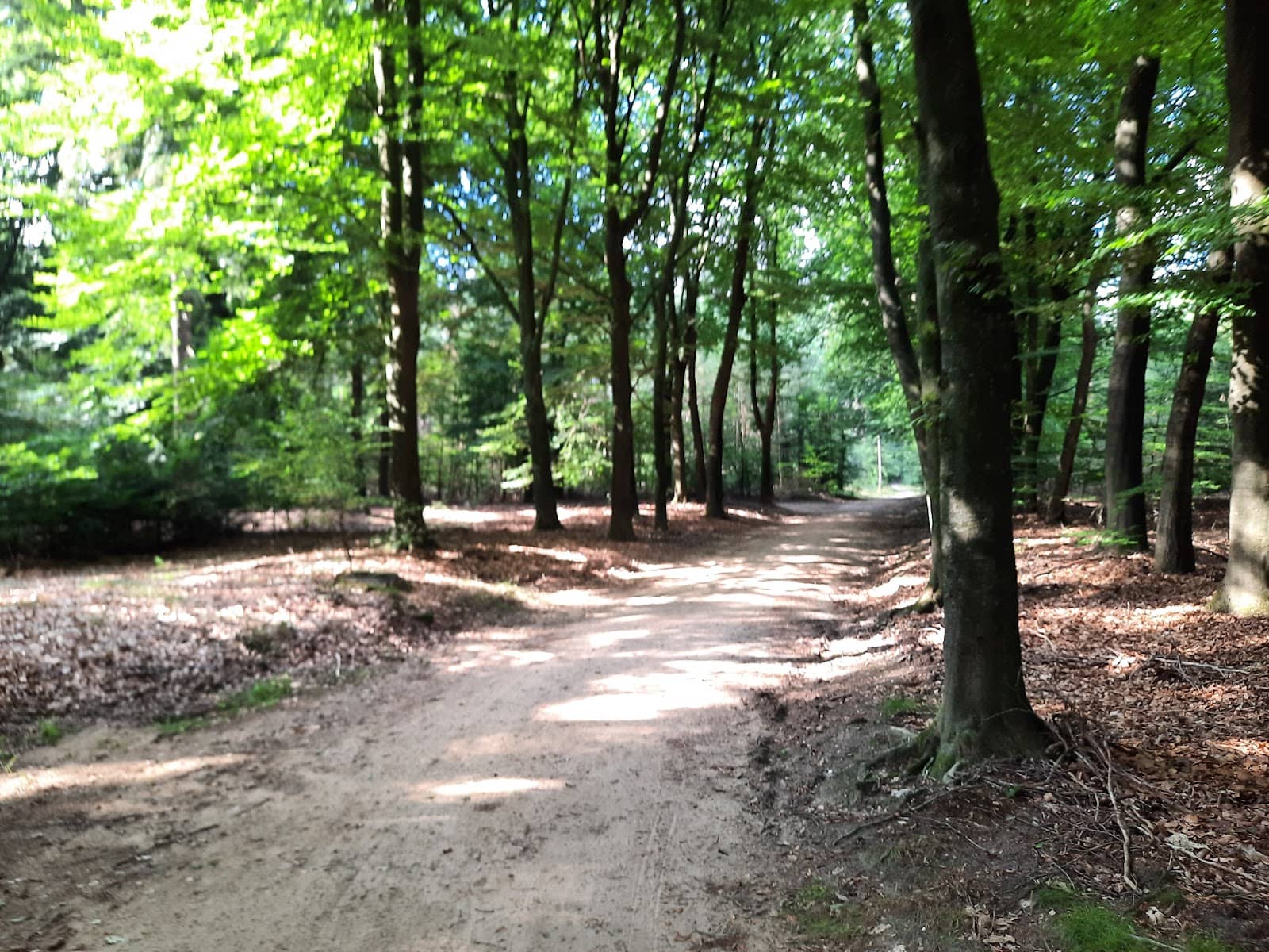 Wildlife Observation Post