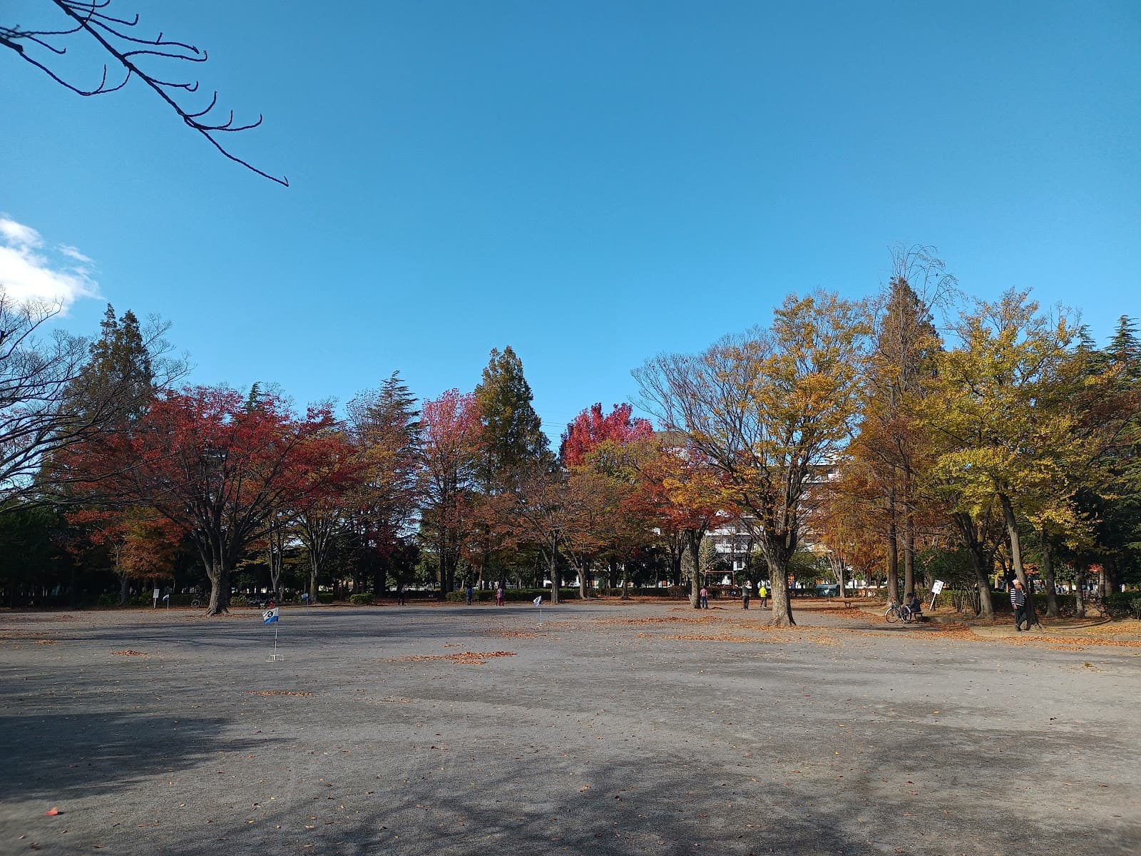 Shin-Matsudo Central Park - Image 1