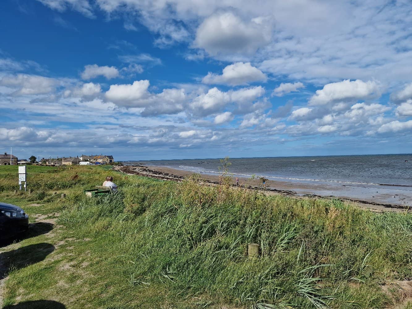 Seaglass and Beachcombing Treasures