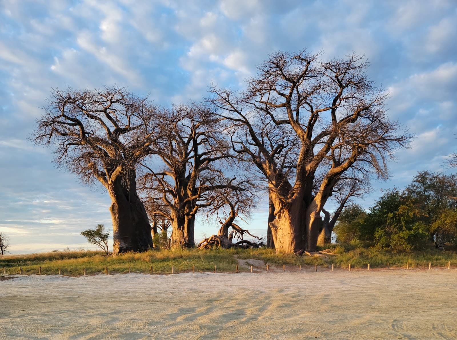 Nxai Pan National Park - Image 1