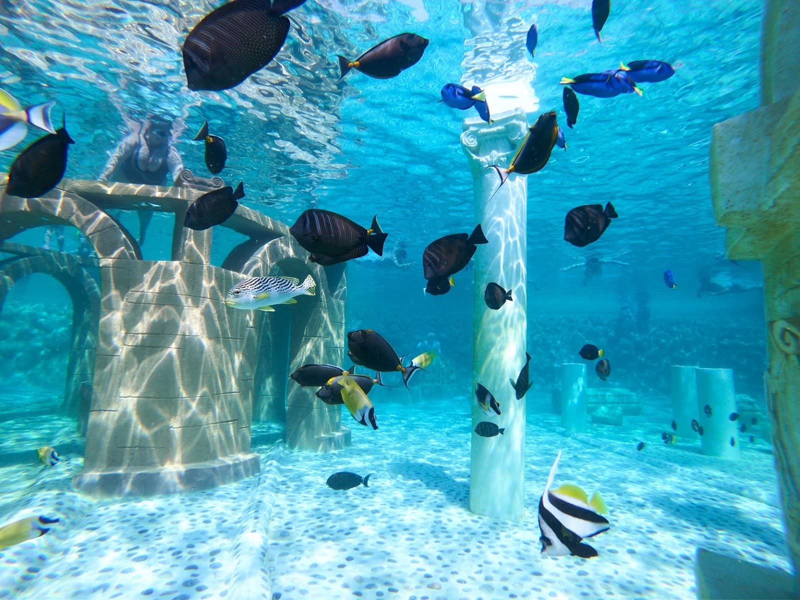 Sealanya Sea Park Alanya - Image 1