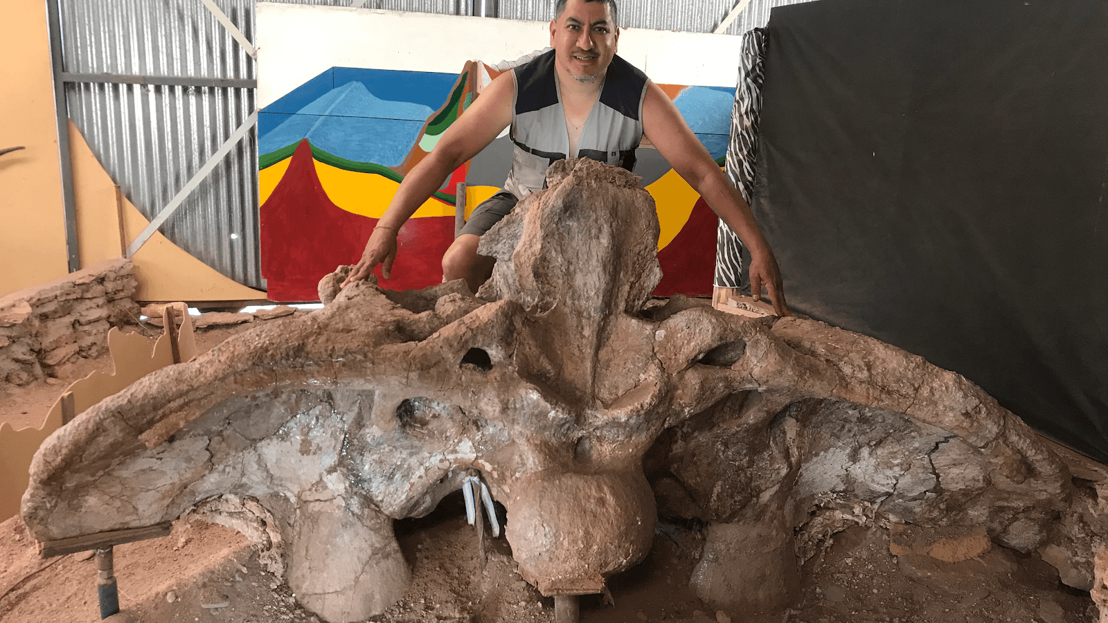 Centro Paleontológico Lago Barreales - Image 1