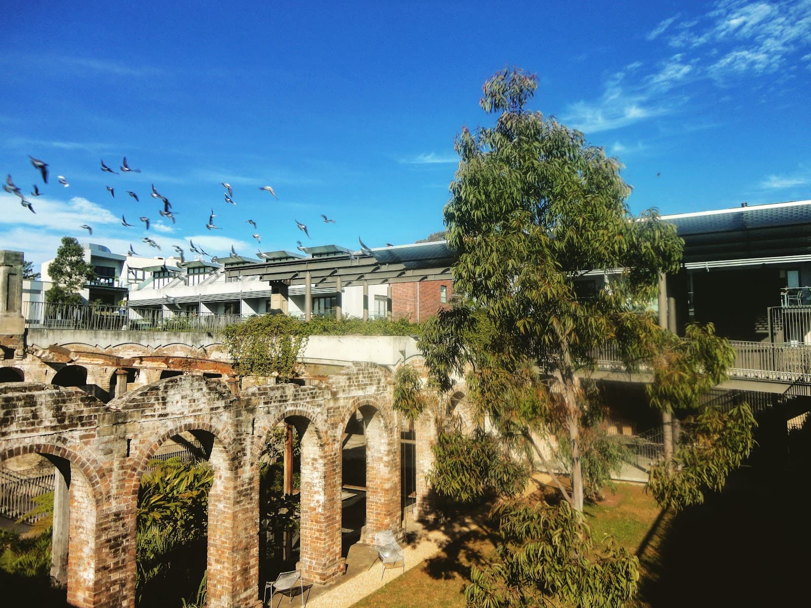 Paddington - Image 1