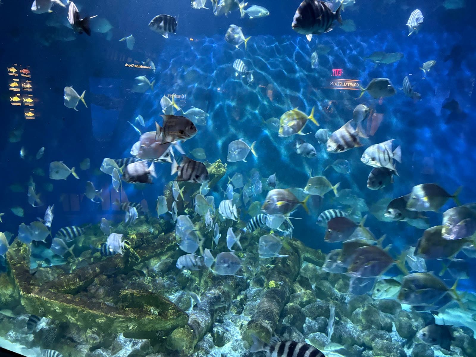 North Carolina Aquarium at Pine Knoll Shores - Image 1