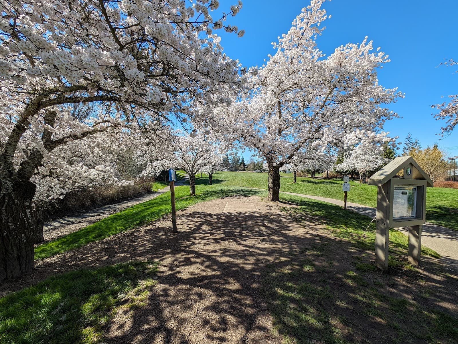 Orchard Park (Disc Golf) - Image 1