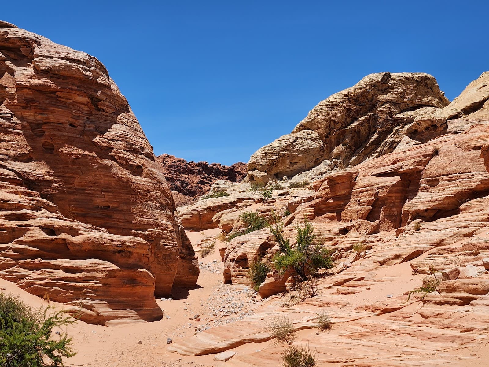 White Domes (Valley of Fire) - Image 1
