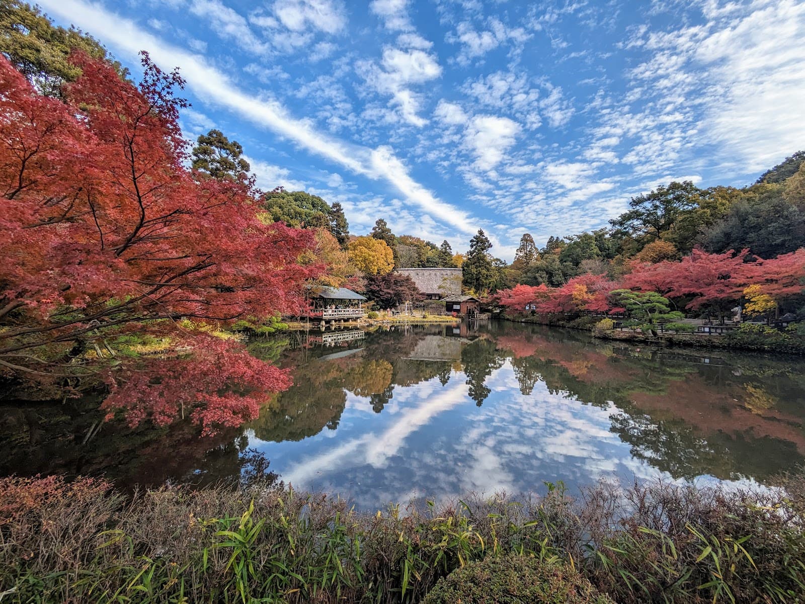 Higashiyama Zoo and Botanical Gardens - Image 1