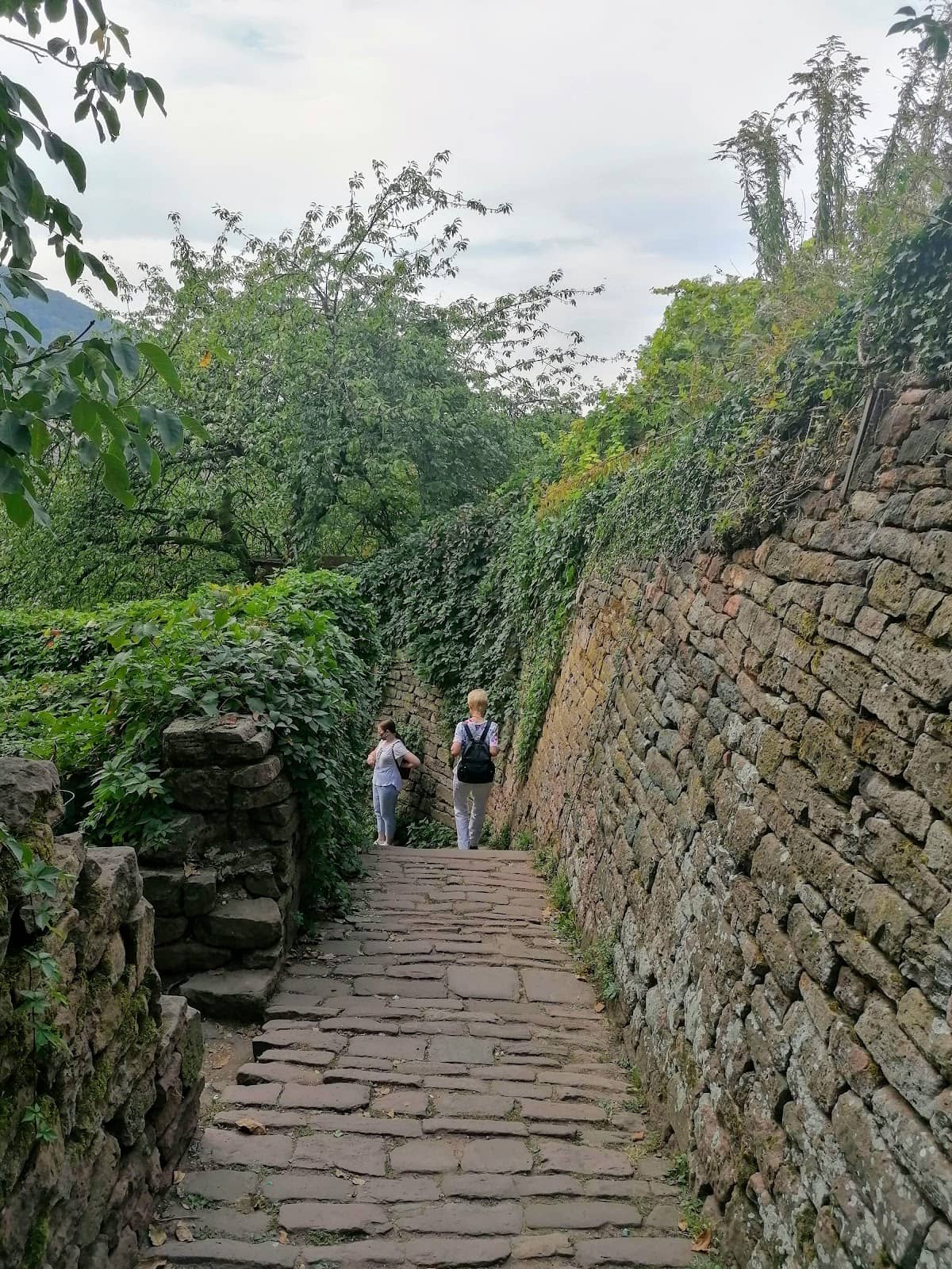 Philosophenweg (Philosopher's Walk)