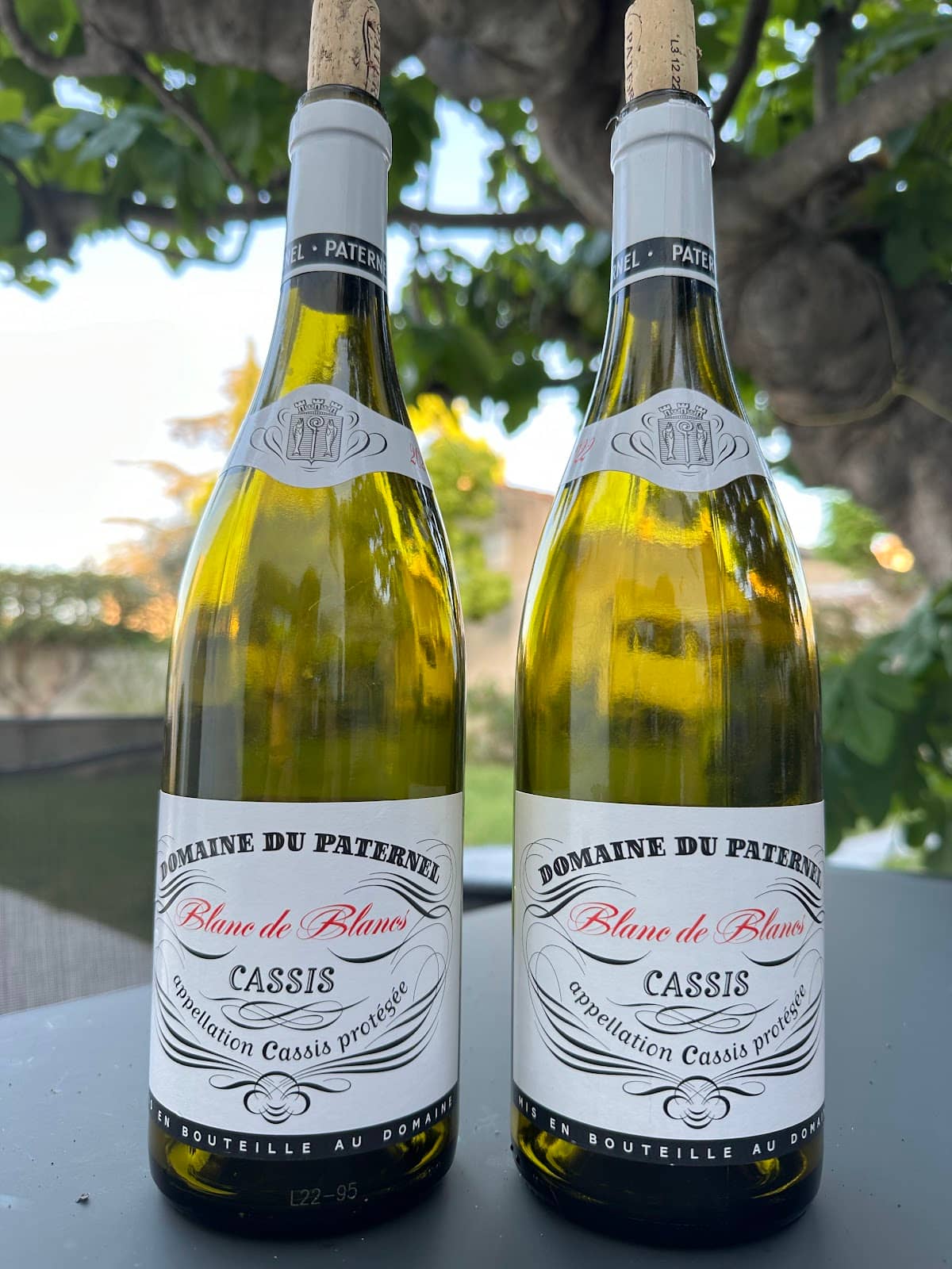 Local Wine Discovery