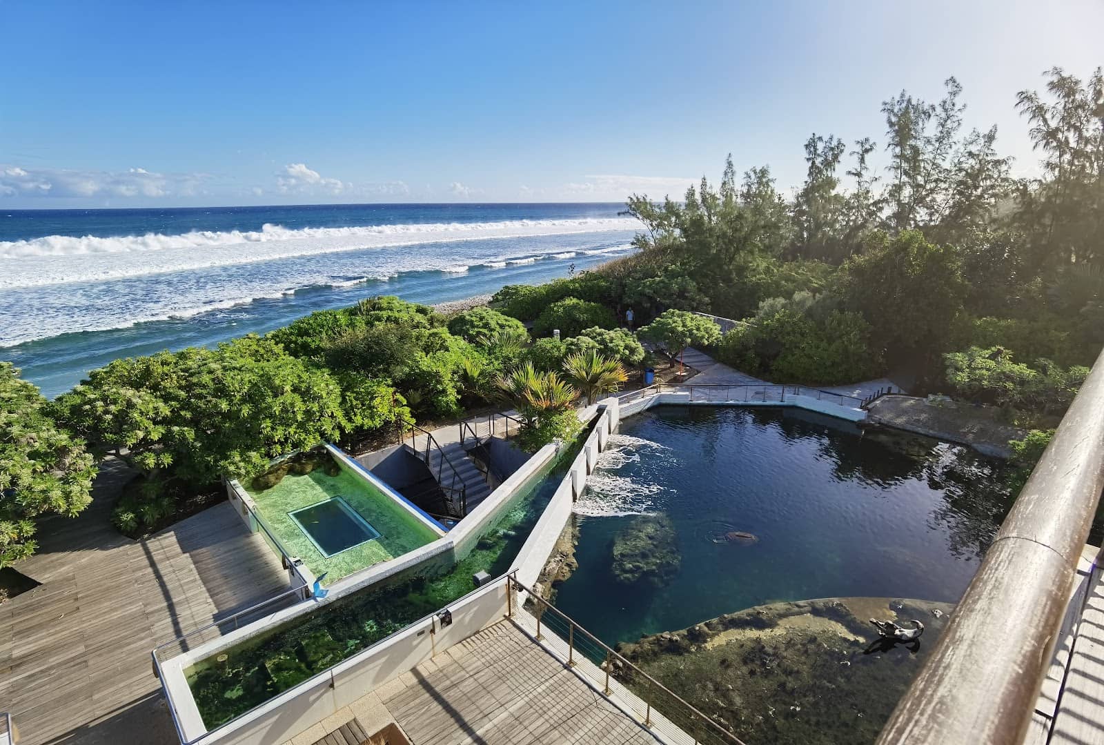 Educational Exhibits