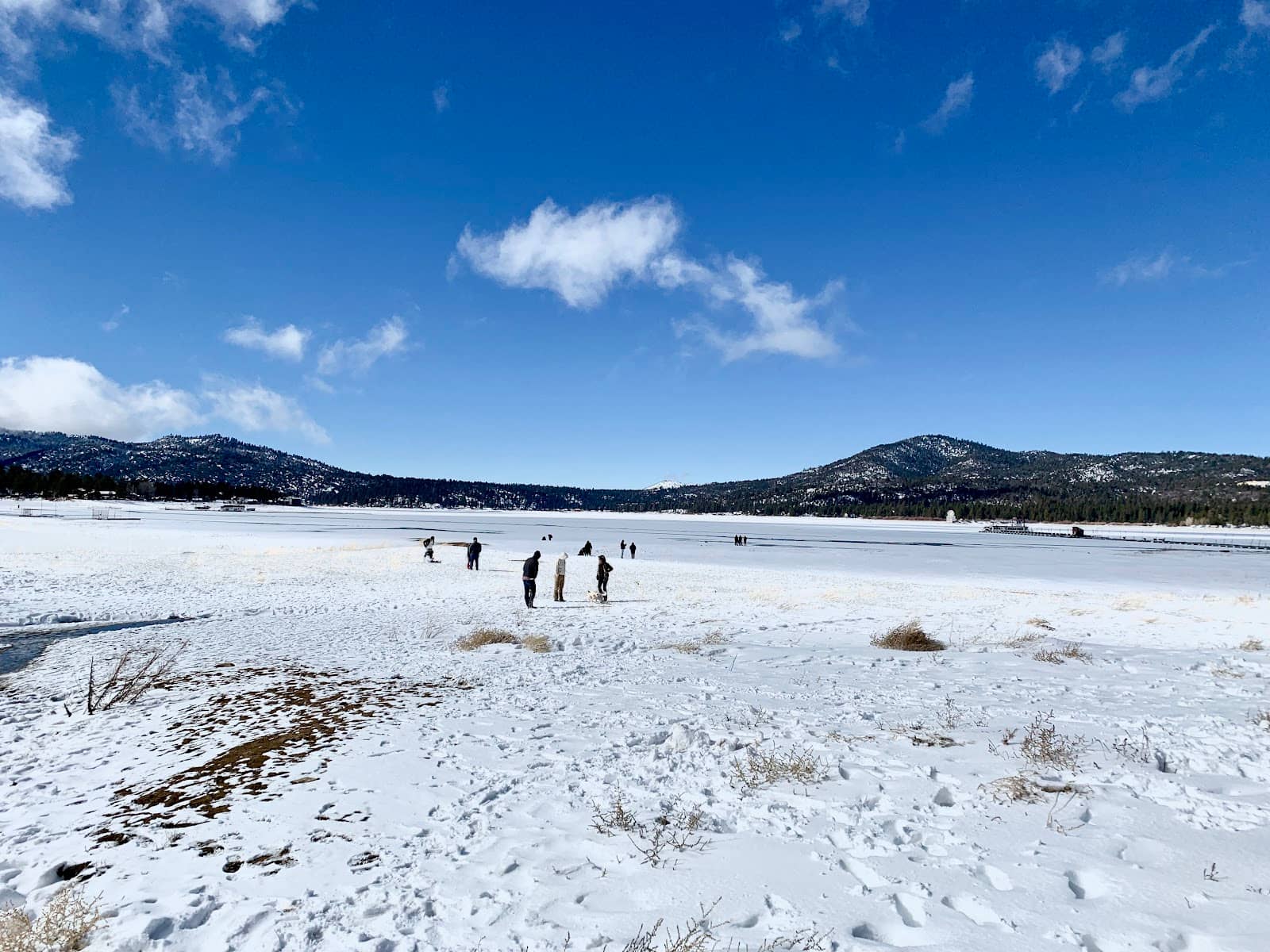 Pontoon Boat Rentals