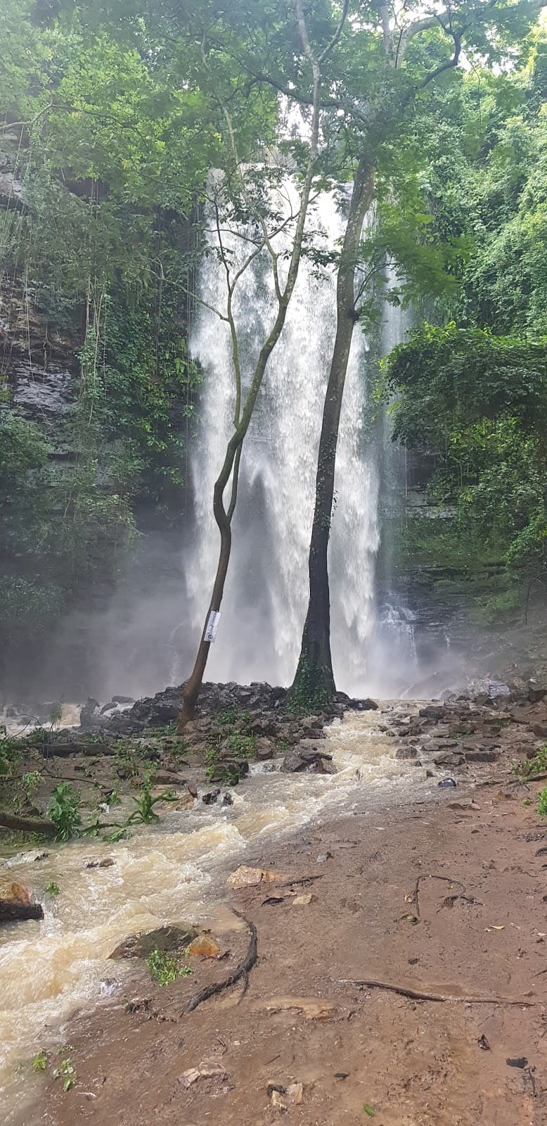 Asenema Falls - Image 1