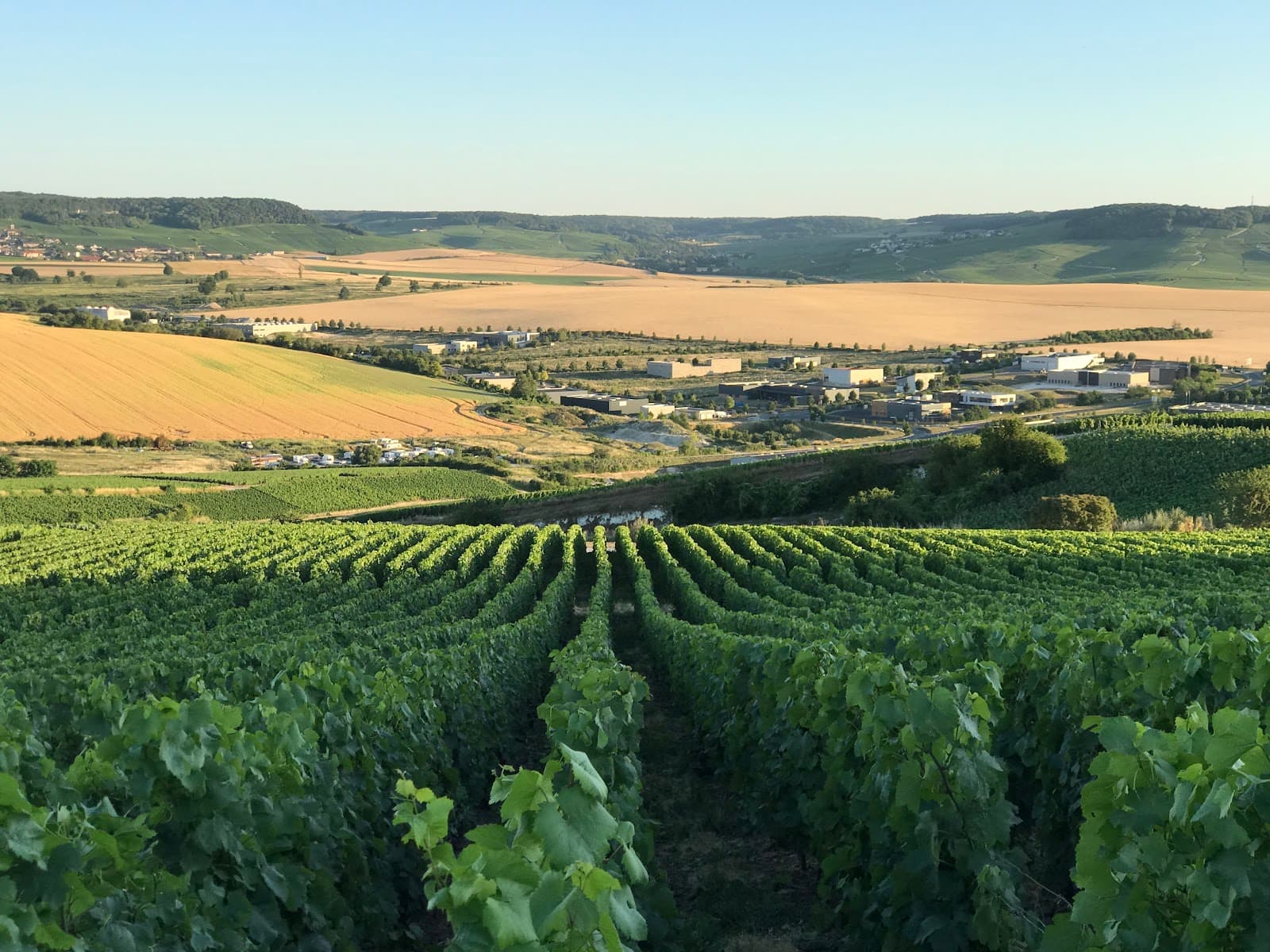 Parc du Mont Bernon - Image 1