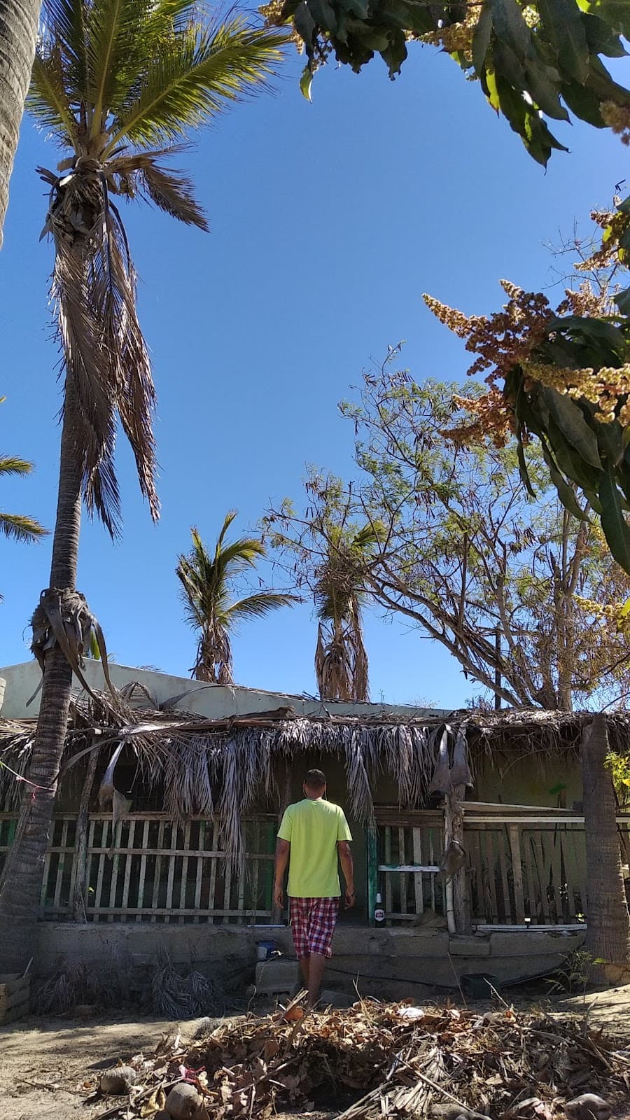 La Ribera East Cape - Image 1