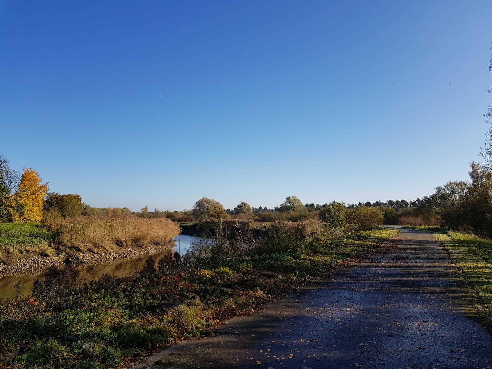 Scenic Walking Trails