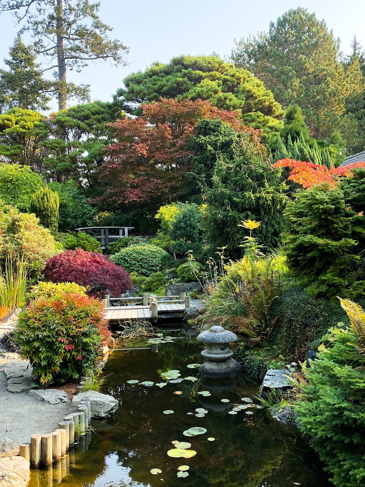 Koyama Japanese Garden - Image 1