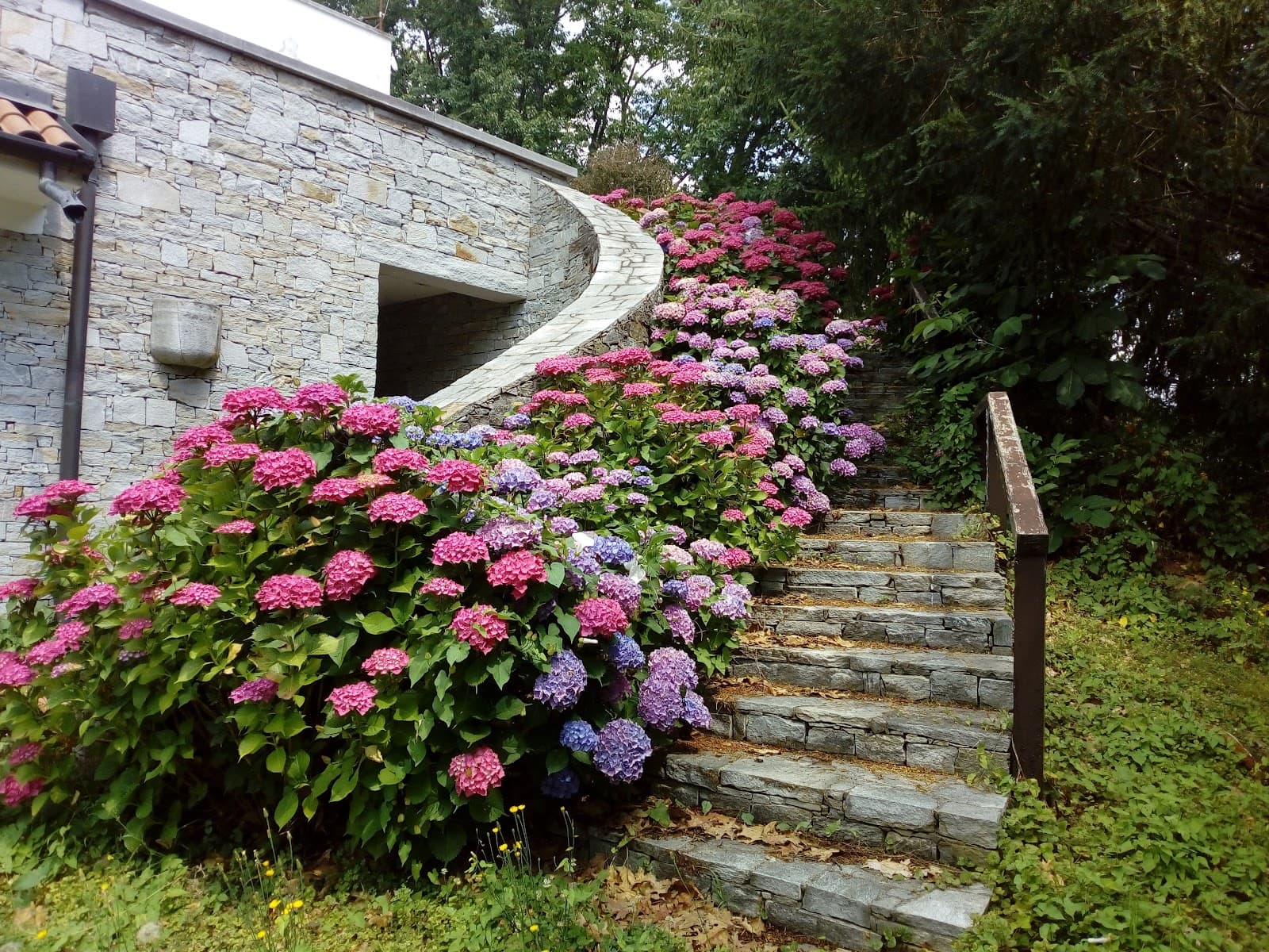 Masnago Varese - Image 1