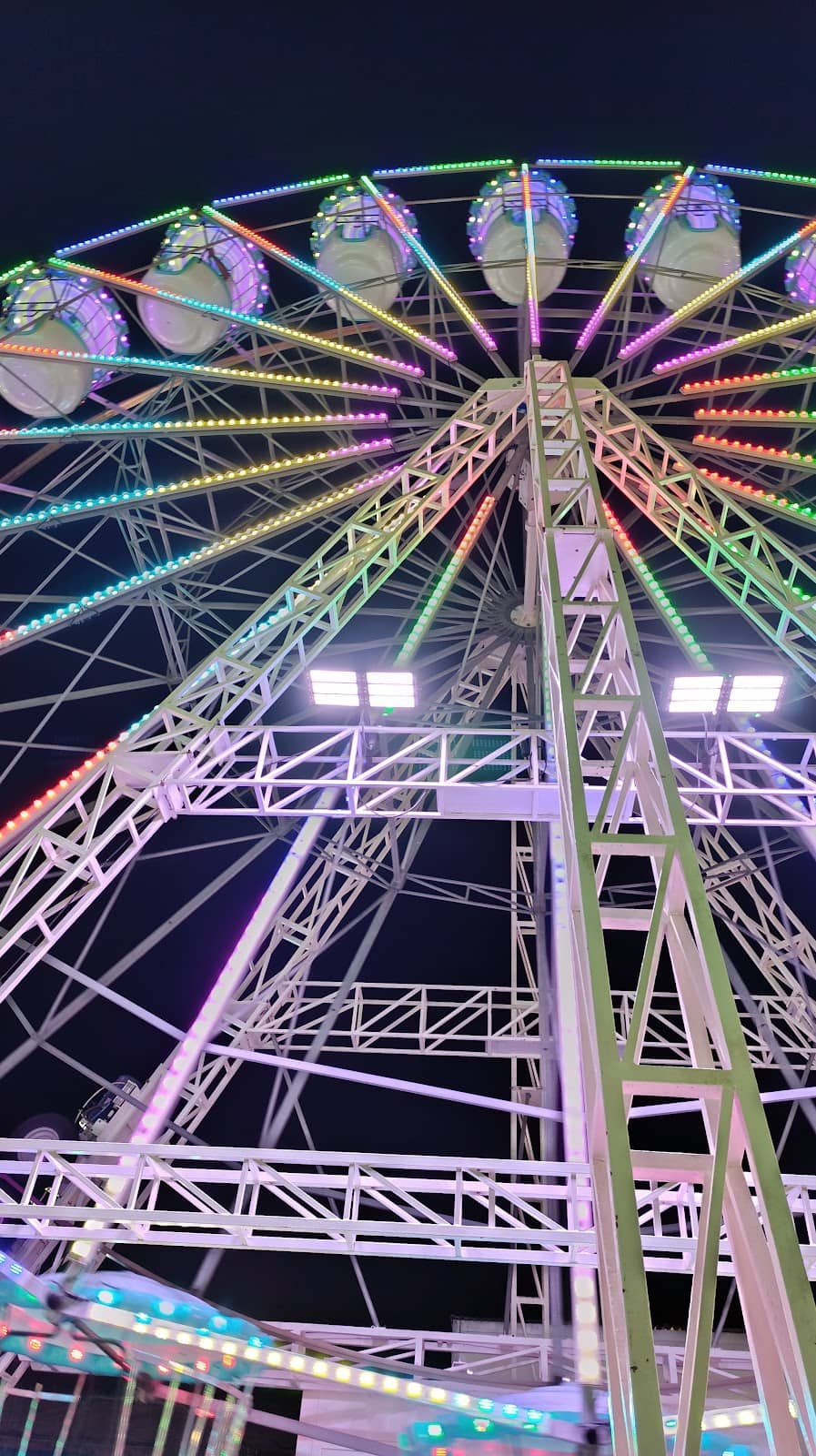 Live Music & Festivals