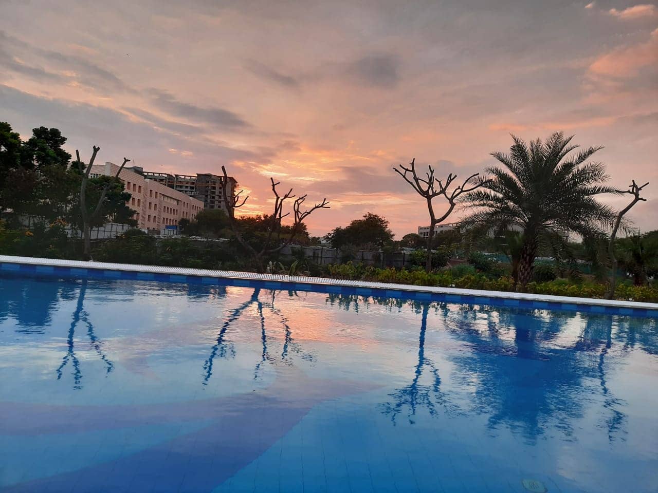 Local Eateries and Cafes