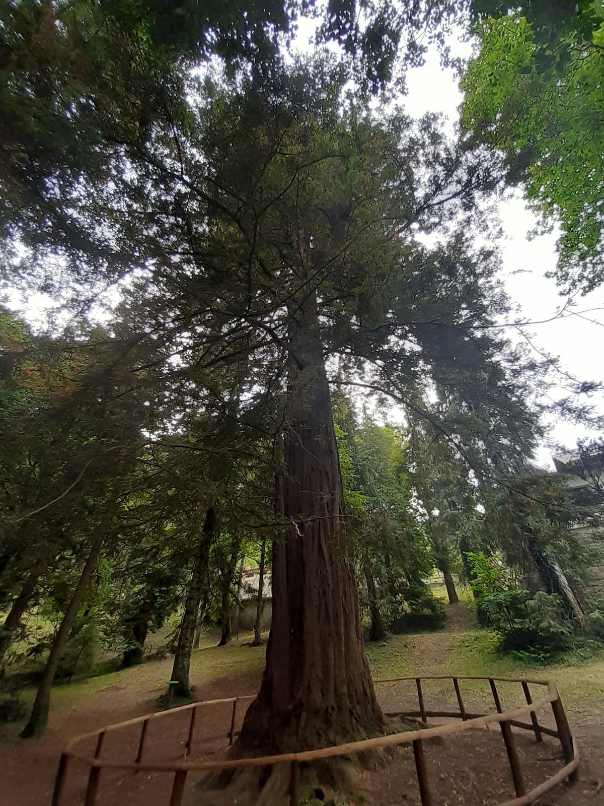 Arboreto Carlo Siemoni (Badia Prataglia) - Image 1