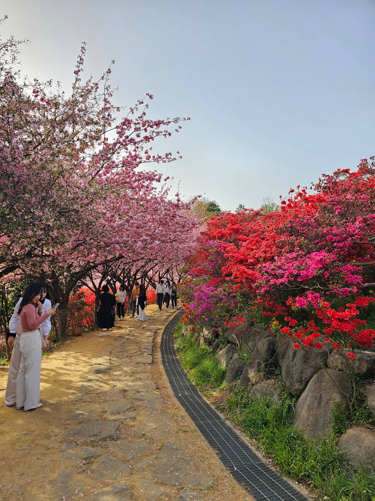 Azalea Gardens