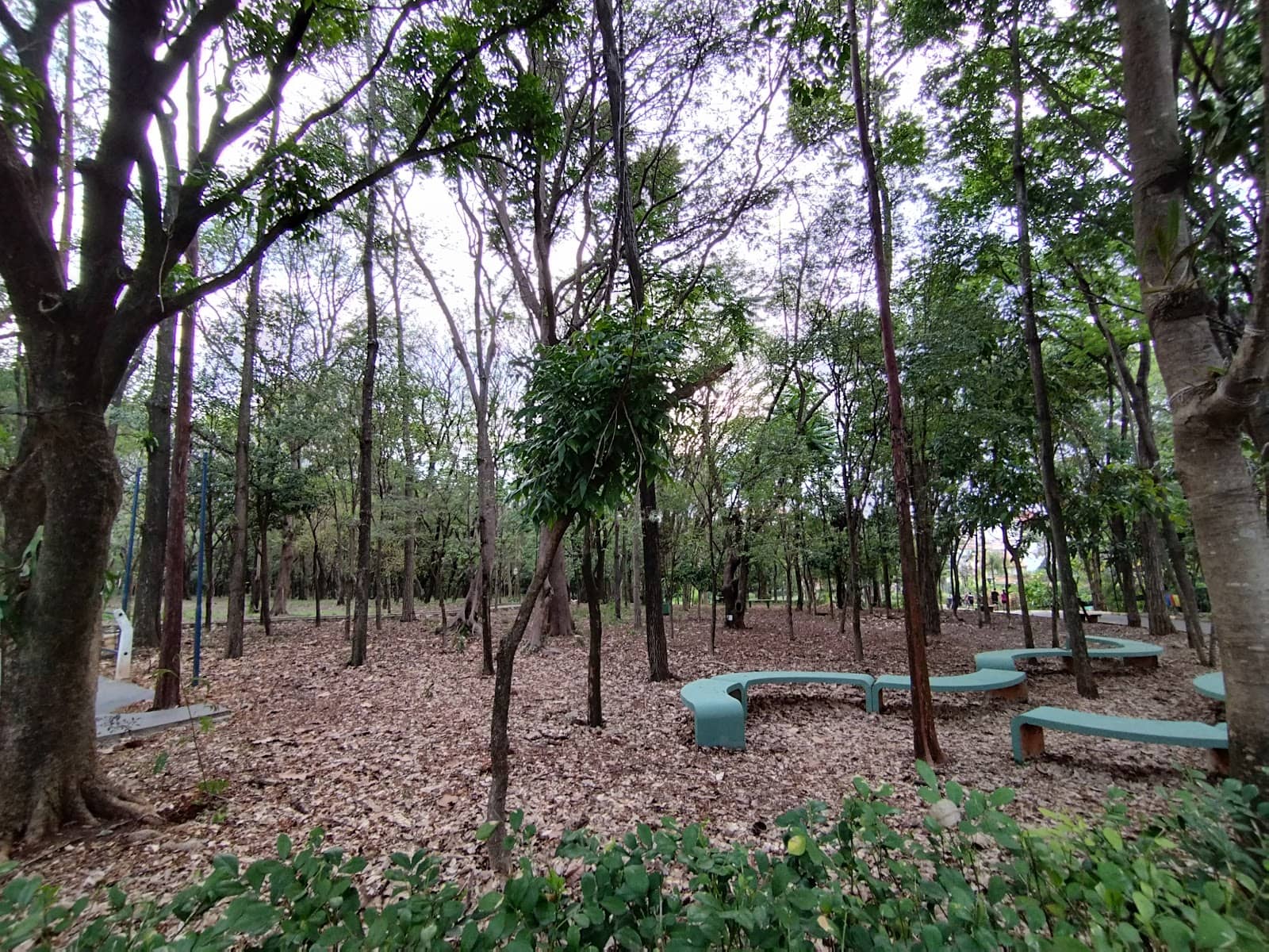 Parque Ecológico